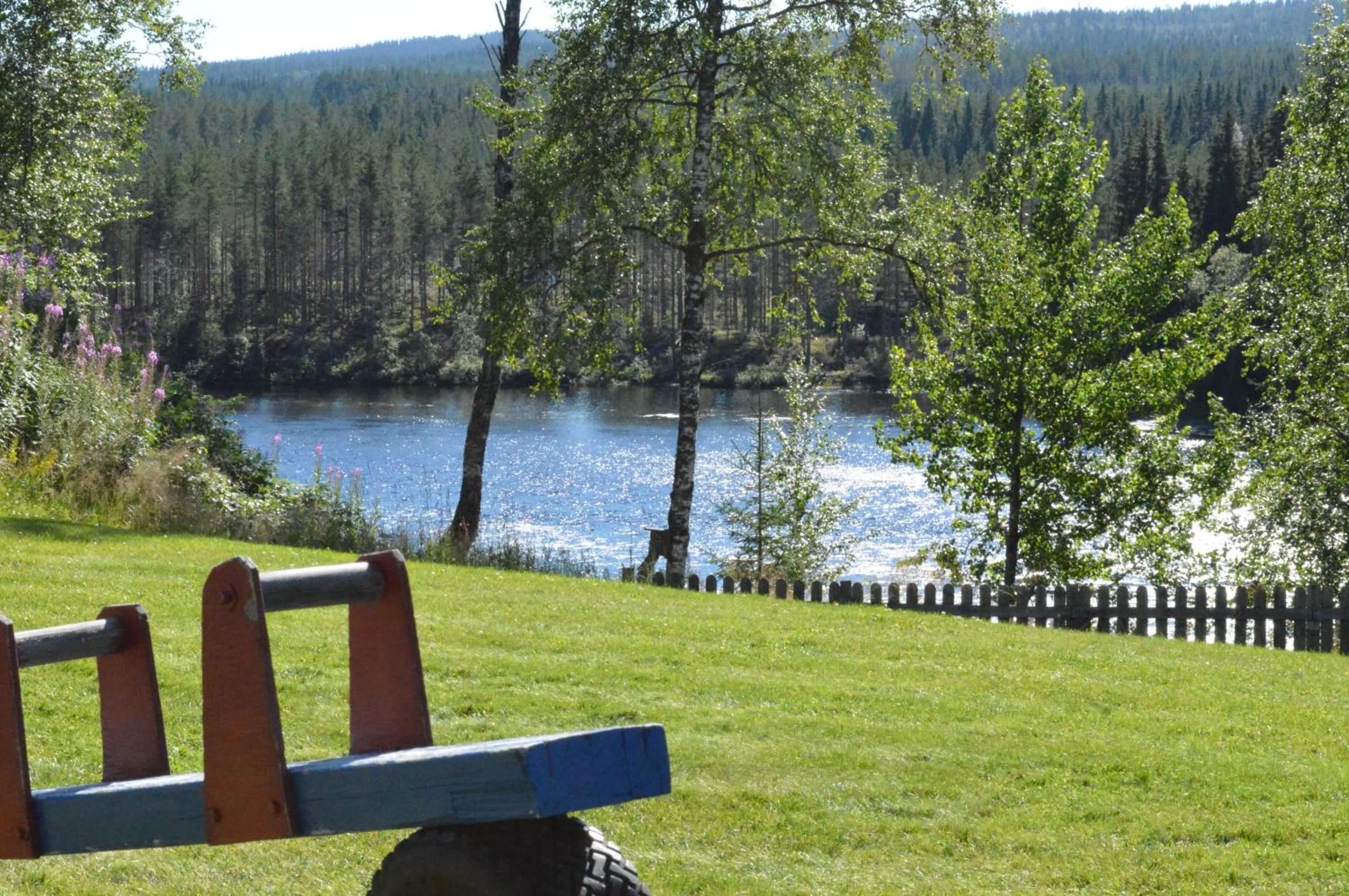 Summer in Trysil Hyttegrend