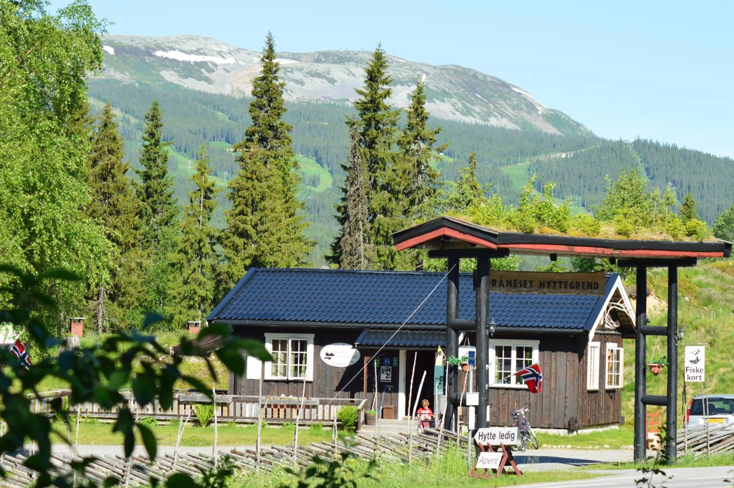 Summer in Trysil Hyttegrend