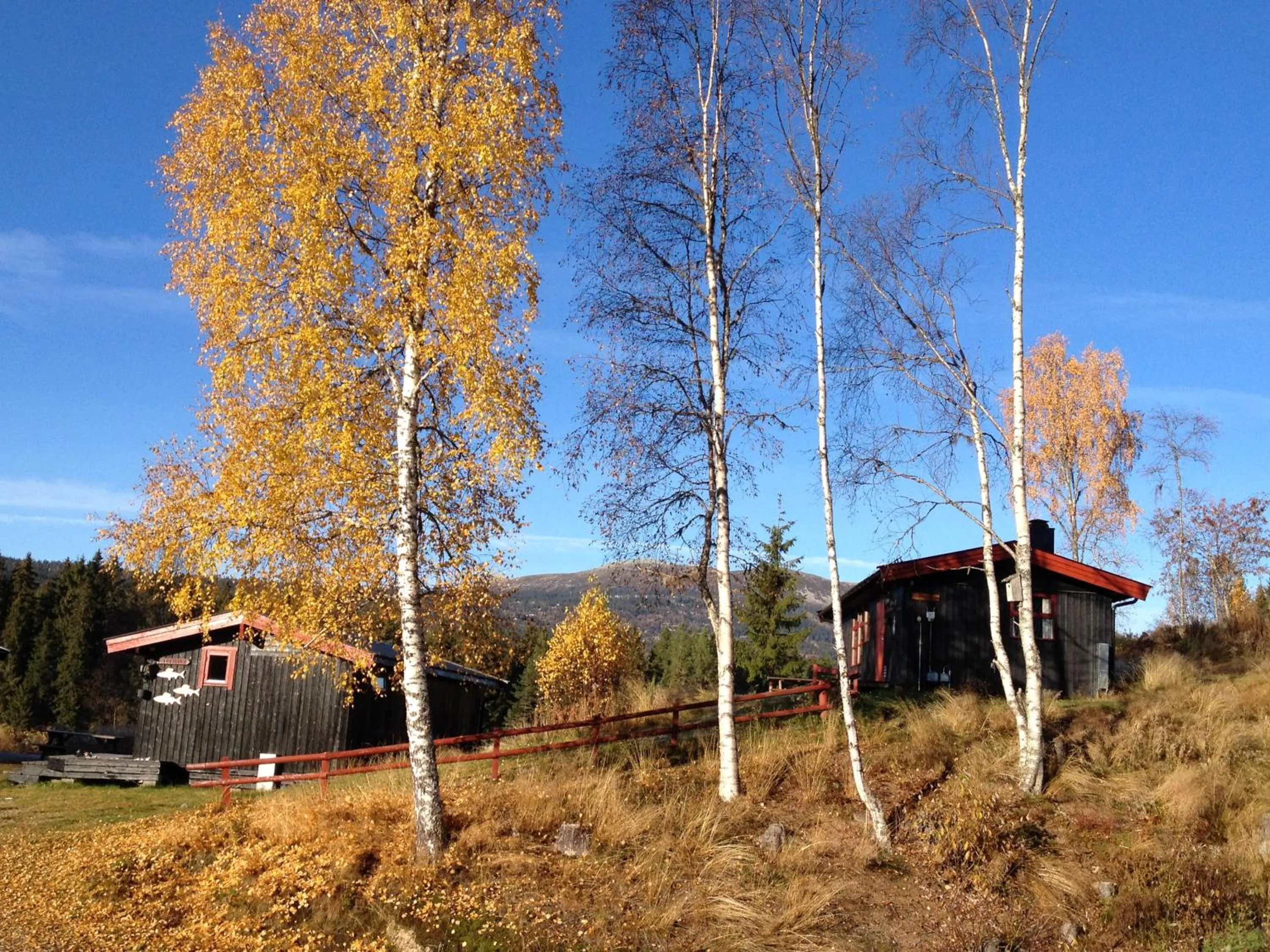 Autumn in Trysil Hyttegrend