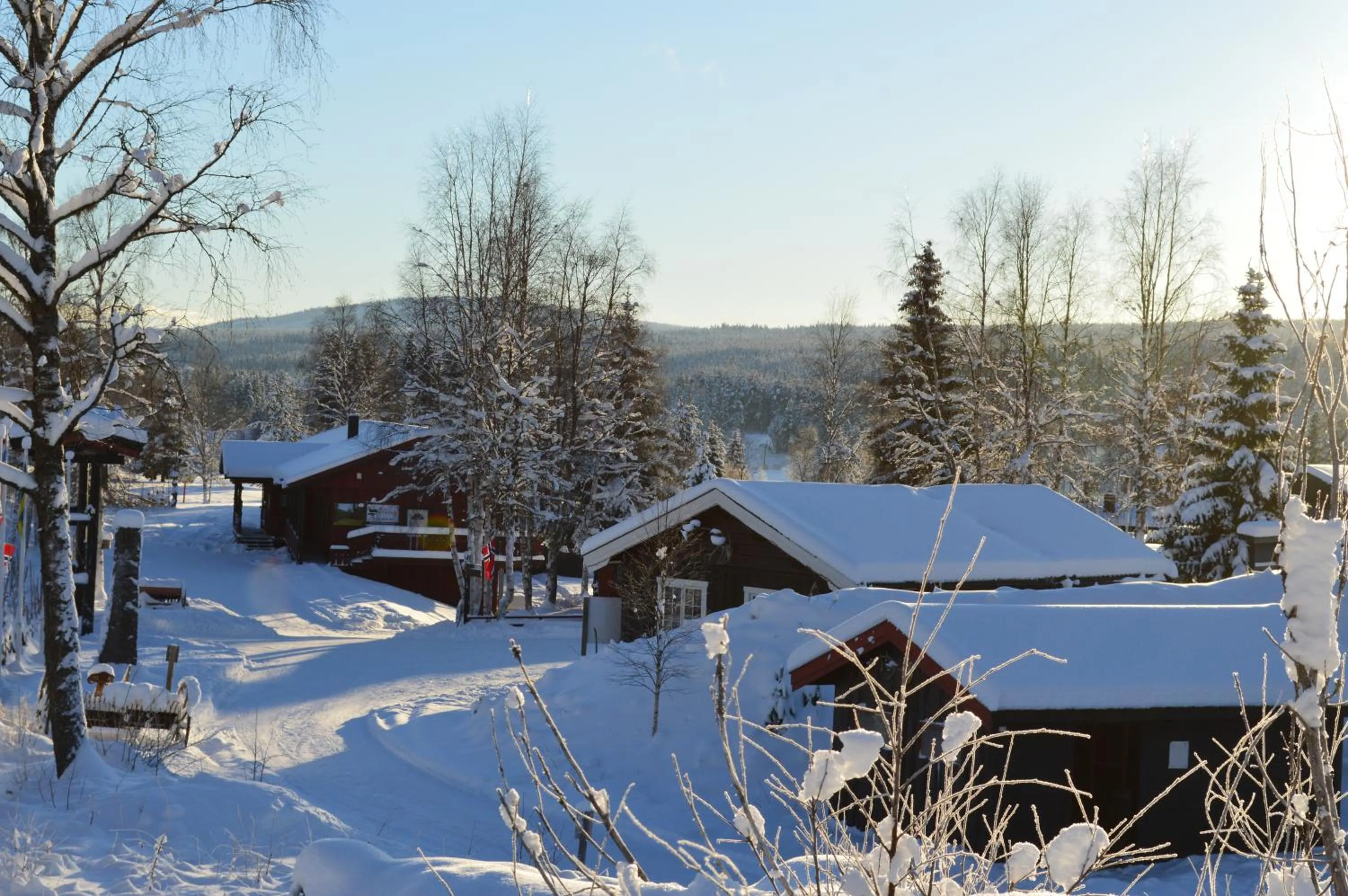 Winter in Trysil Hyttegrend
