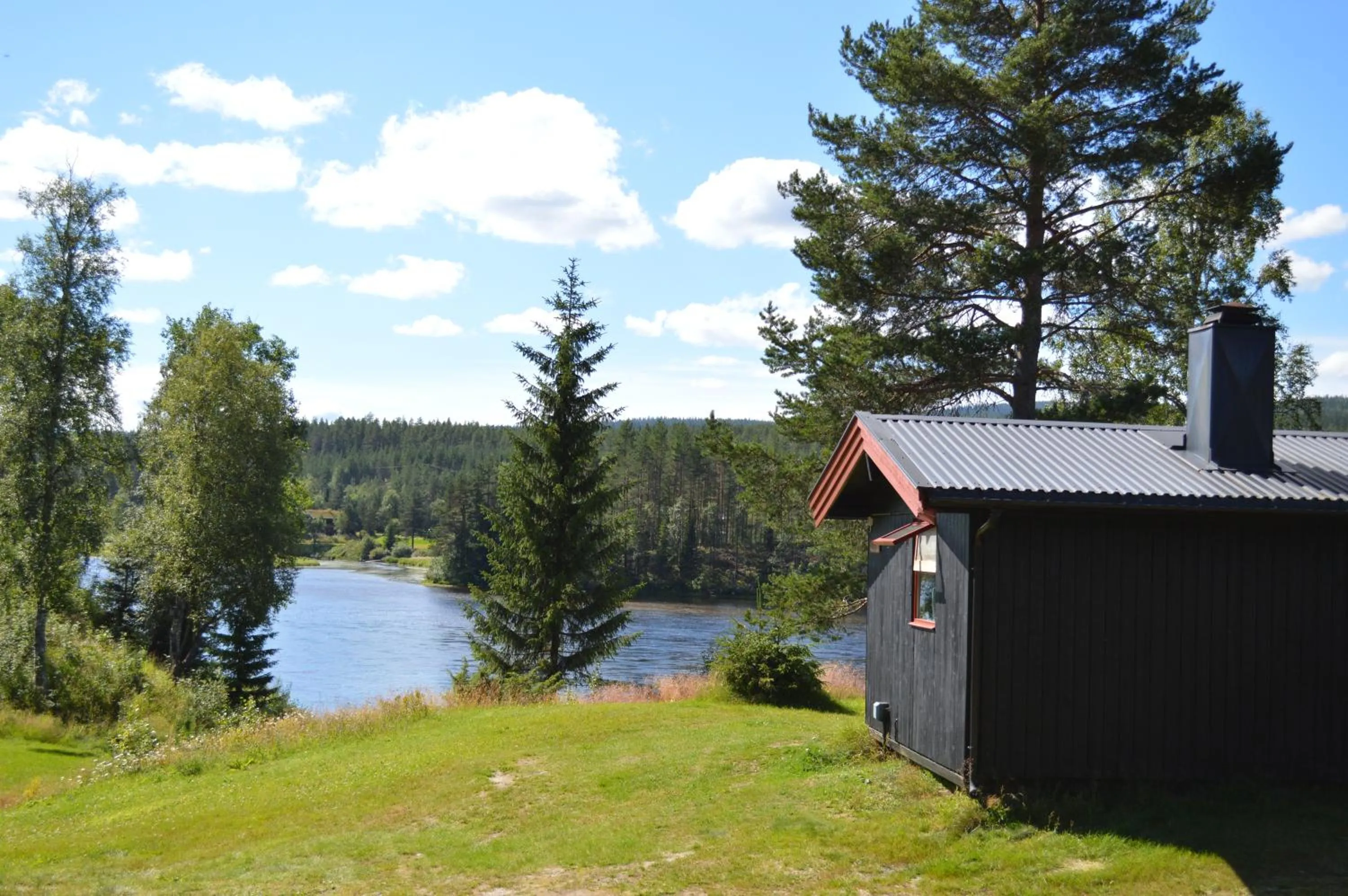 Summer in Trysil Hyttegrend