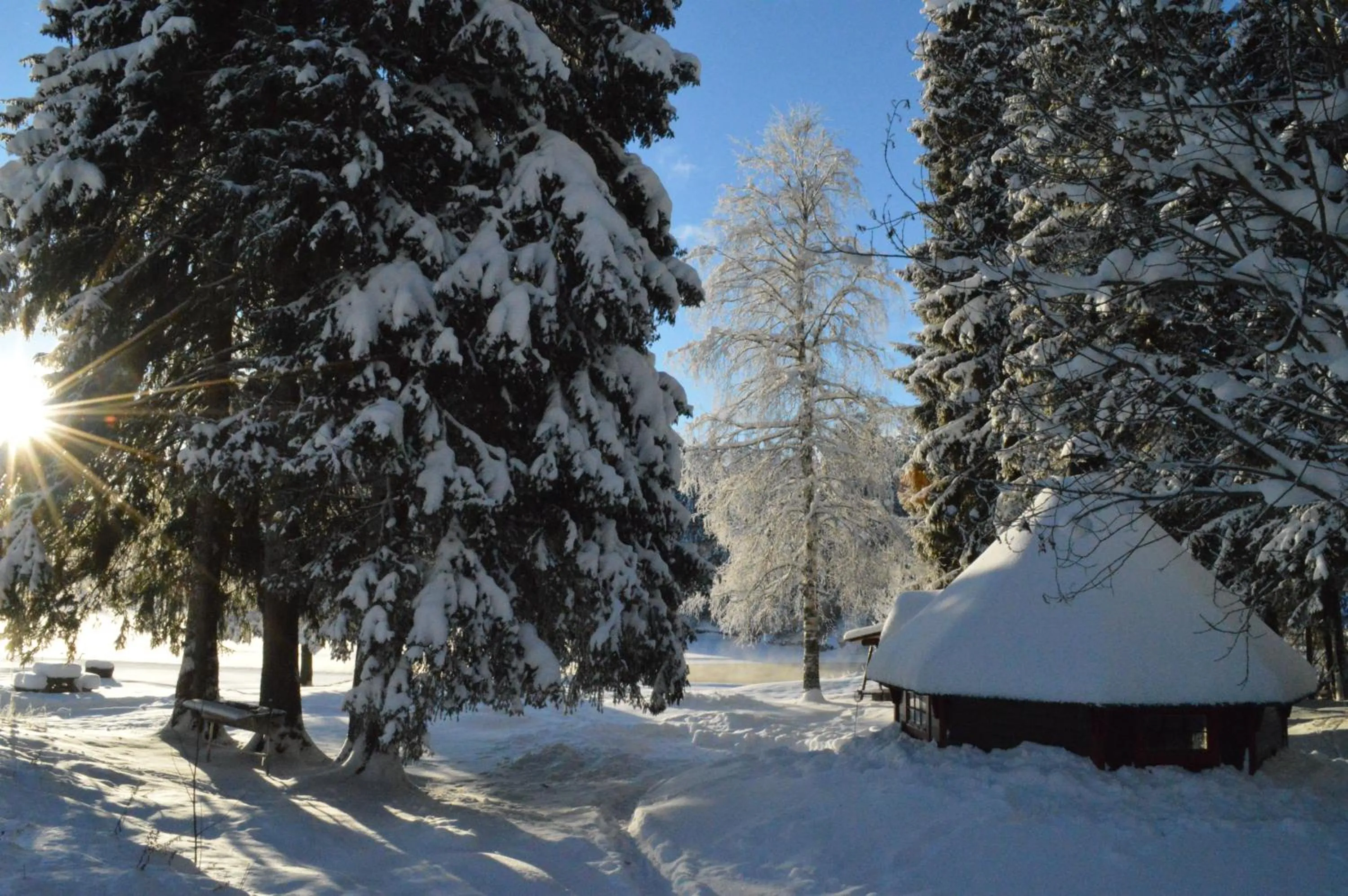 Winter in Trysil Hyttegrend