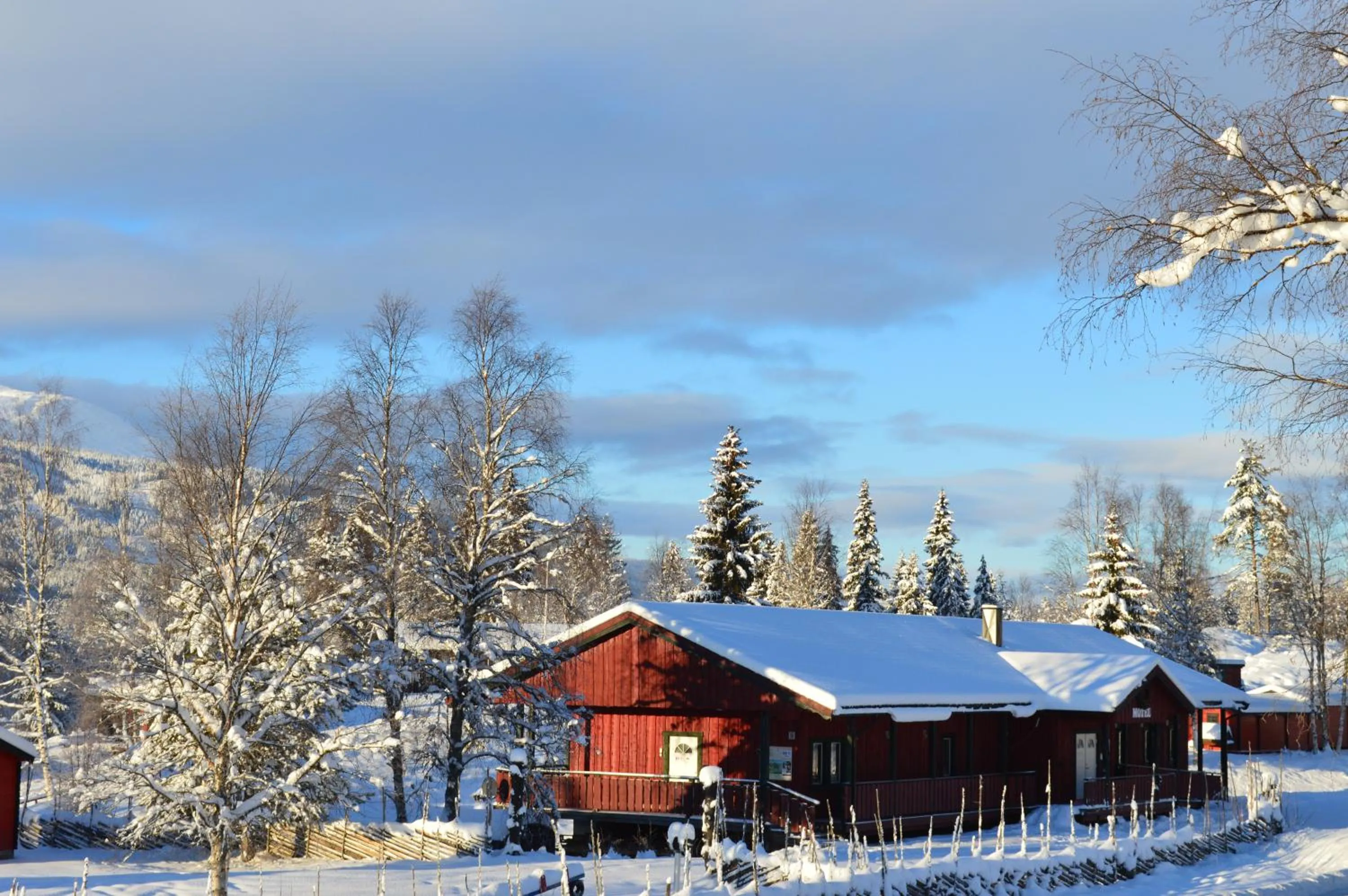 Winter in Trysil Hyttegrend