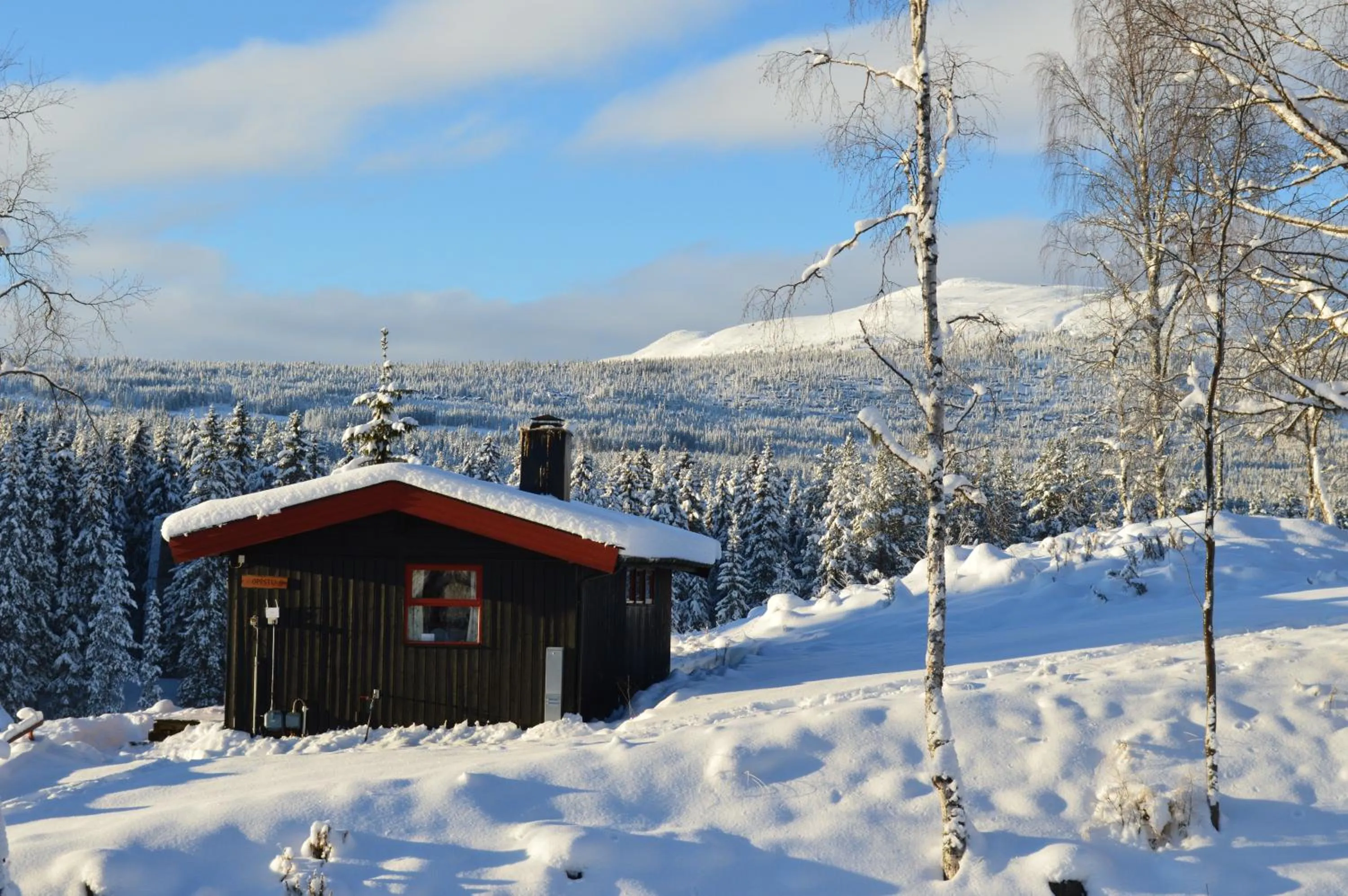 Winter in Trysil Hyttegrend