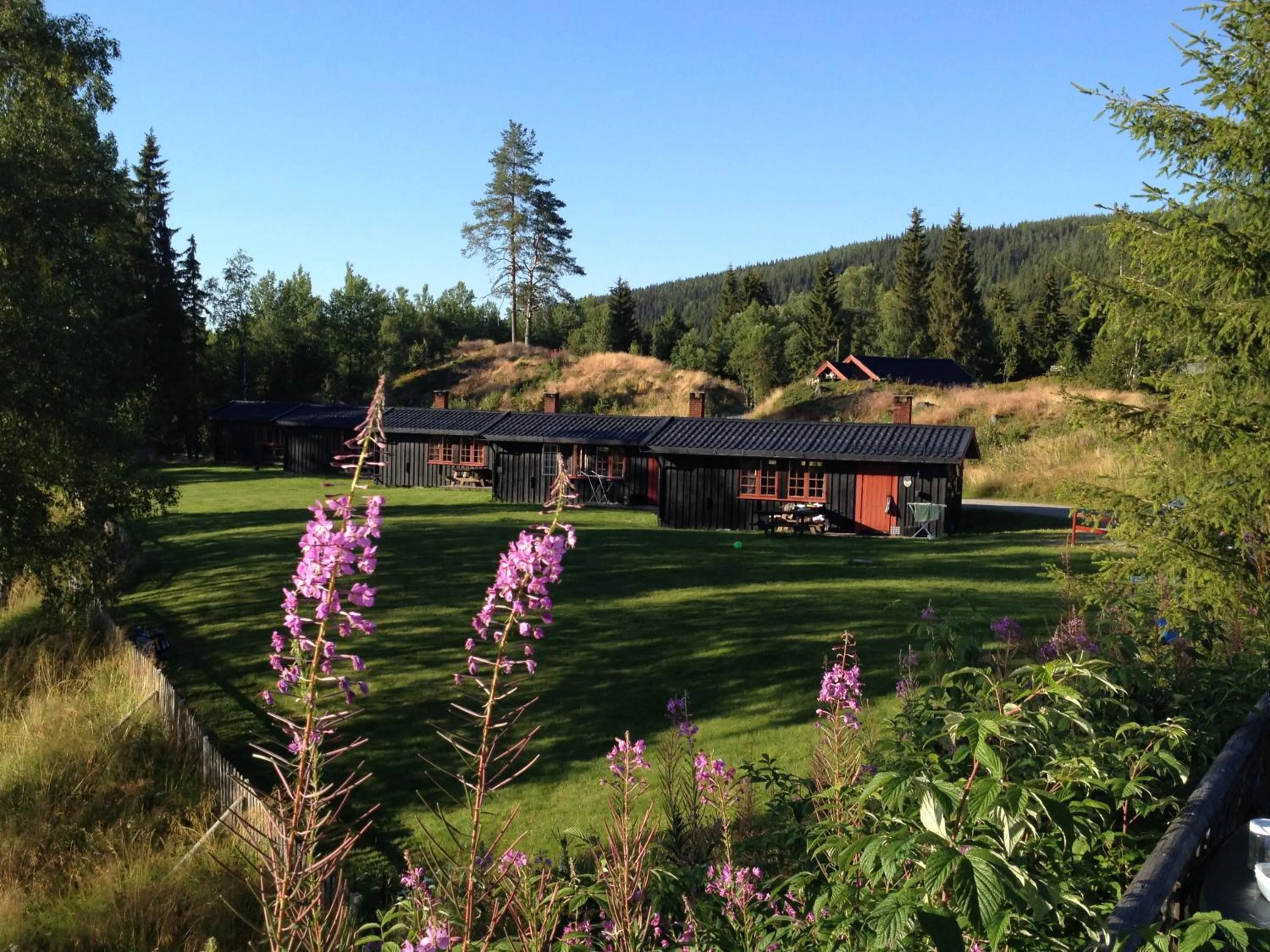 Garden view in Trysil Hyttegrend