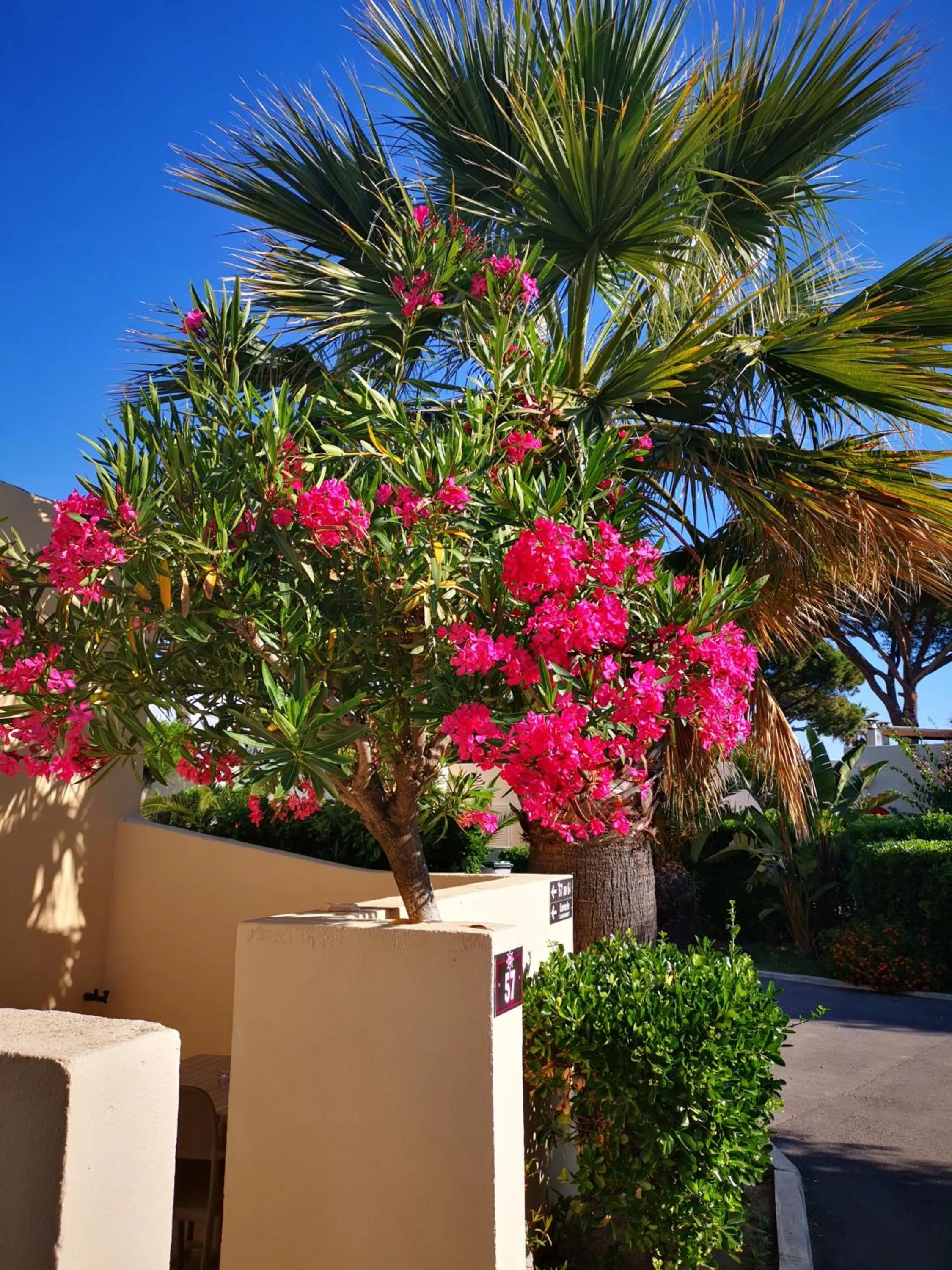 Garden in Hotel & Restaurant San Pellegrino