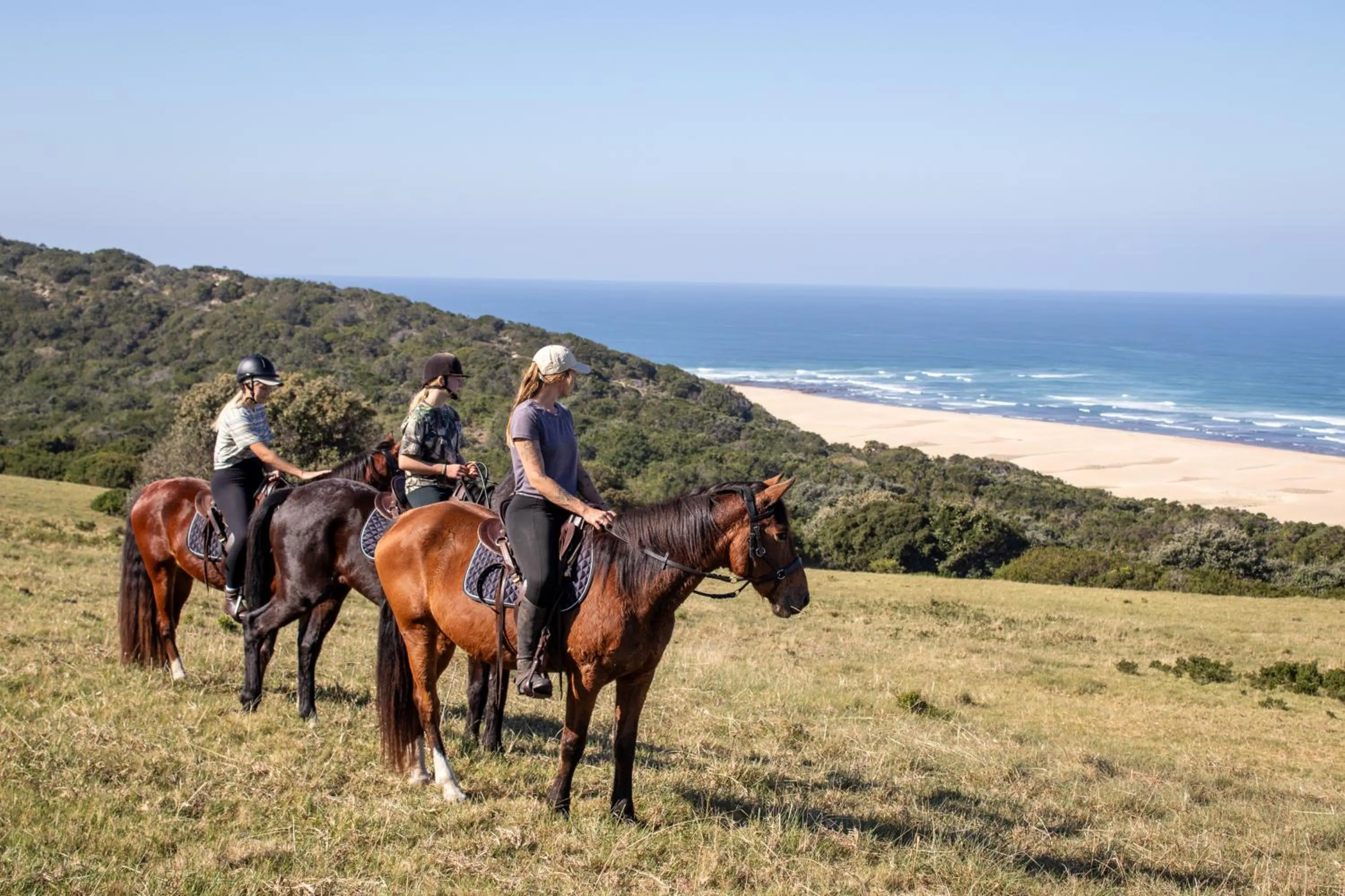 Oceana Beach and Wildlife Reserve