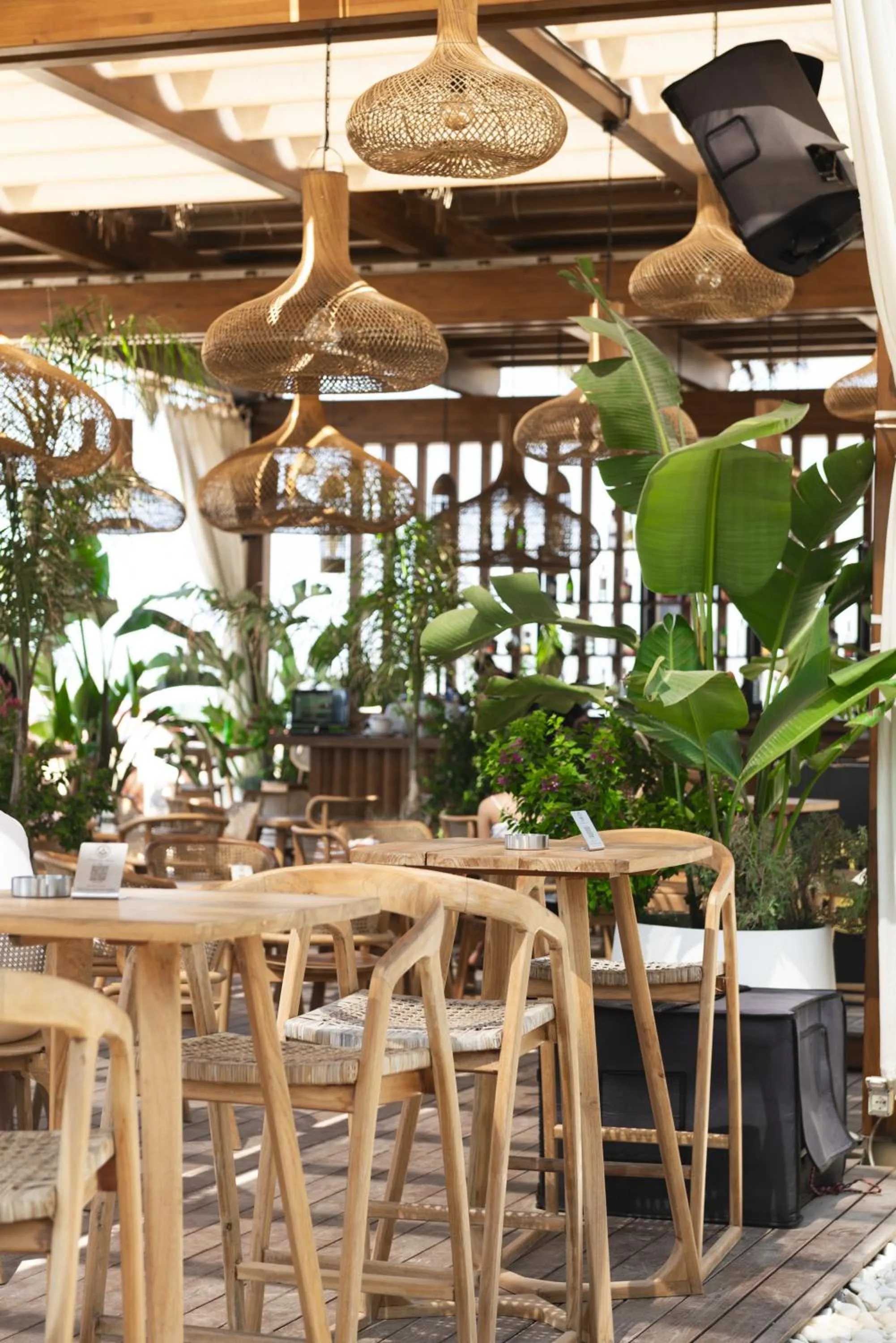 View (from property/room) in Iliria Internacional Hotel