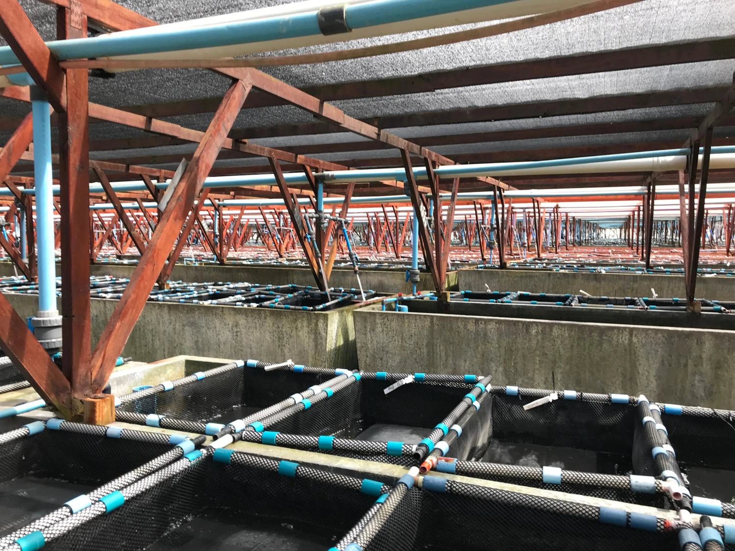 Activities in Sixteen Guesthouse on Main