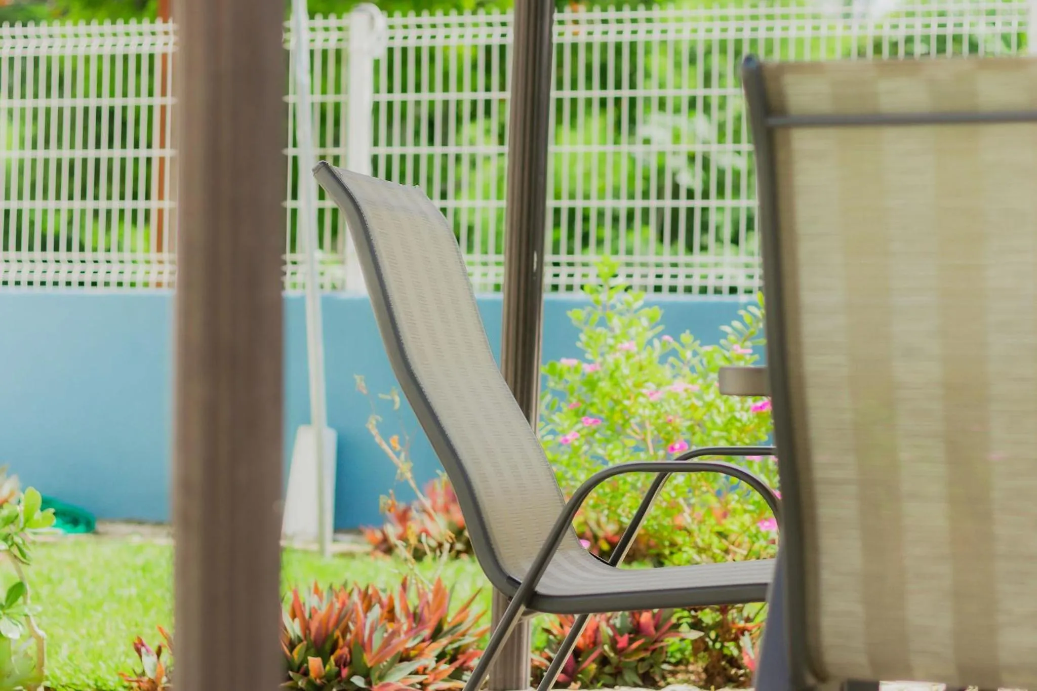 Garden in Hotel Maria Maria