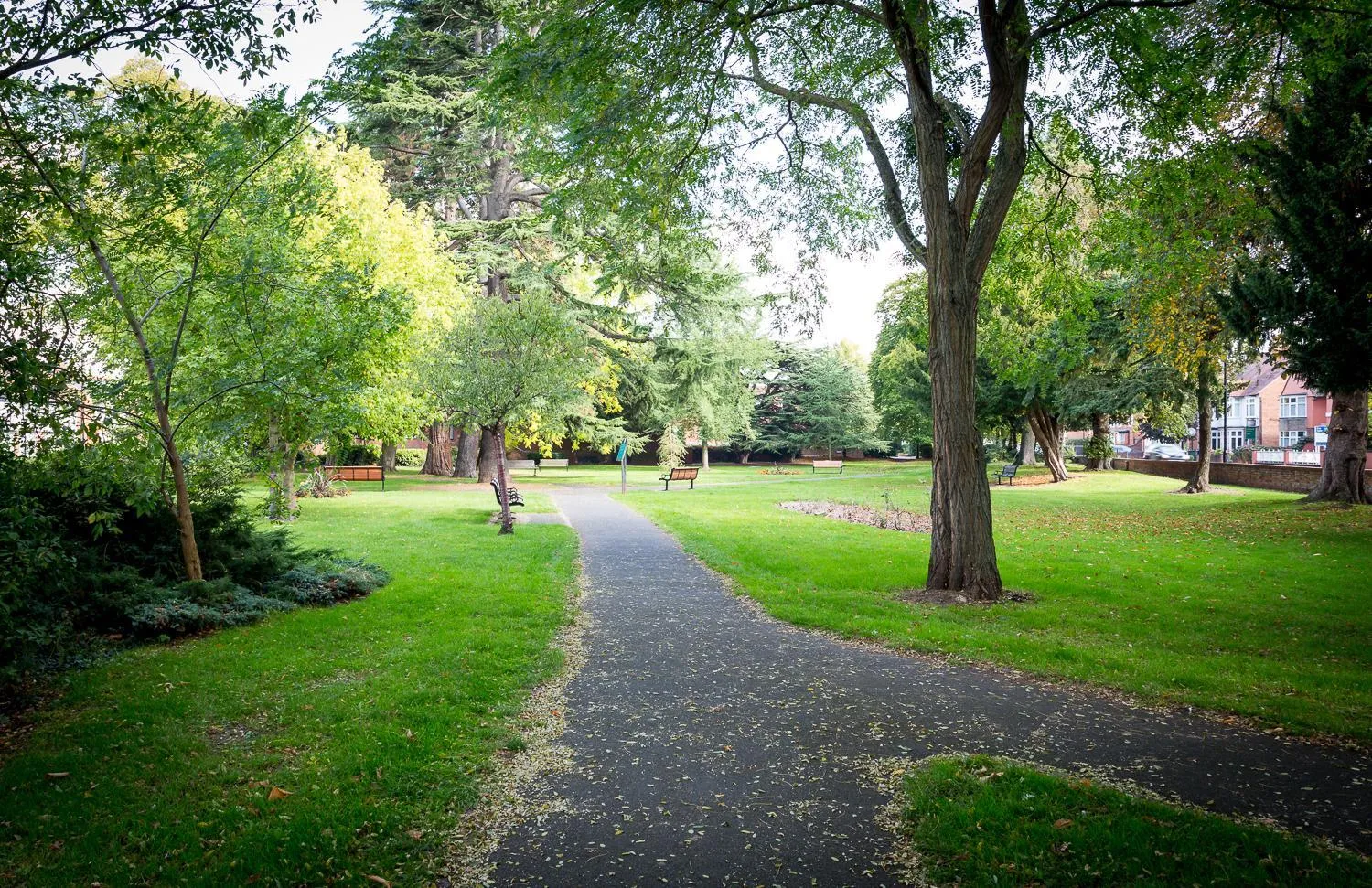 View (from property/room) in Ashgrove House
