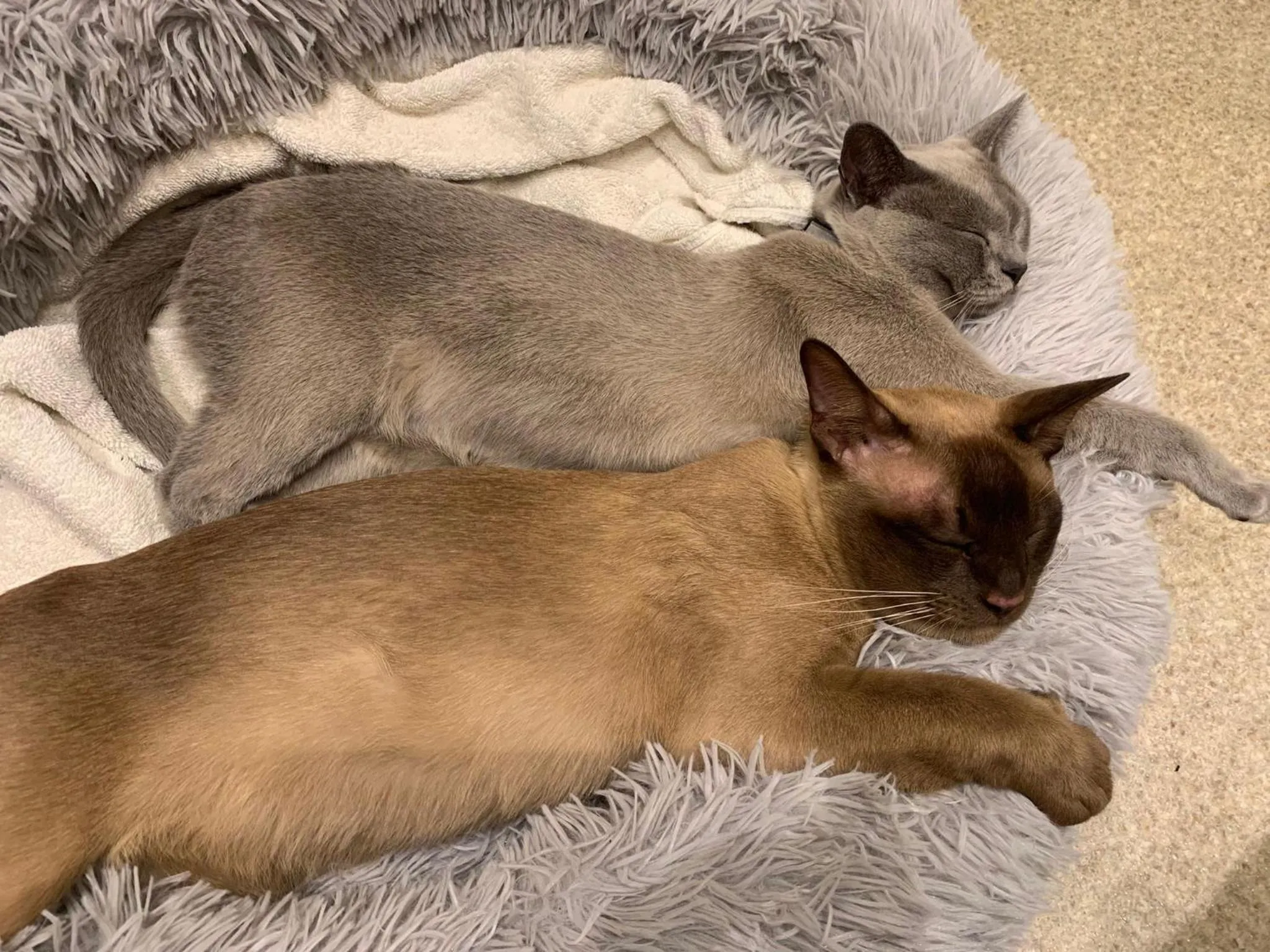 Apple Tree boutique B&B