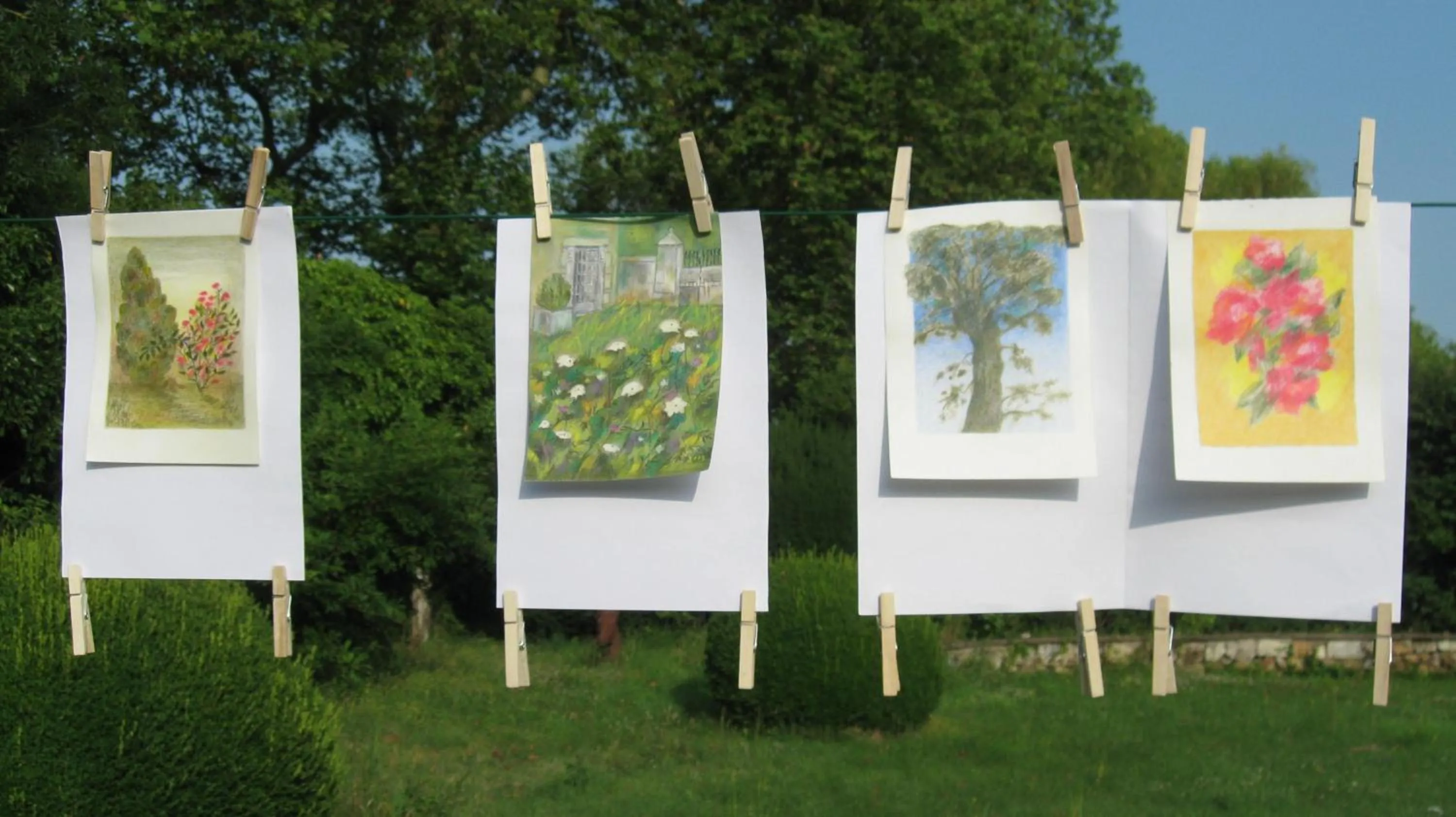 Activities in Le Petit Bois