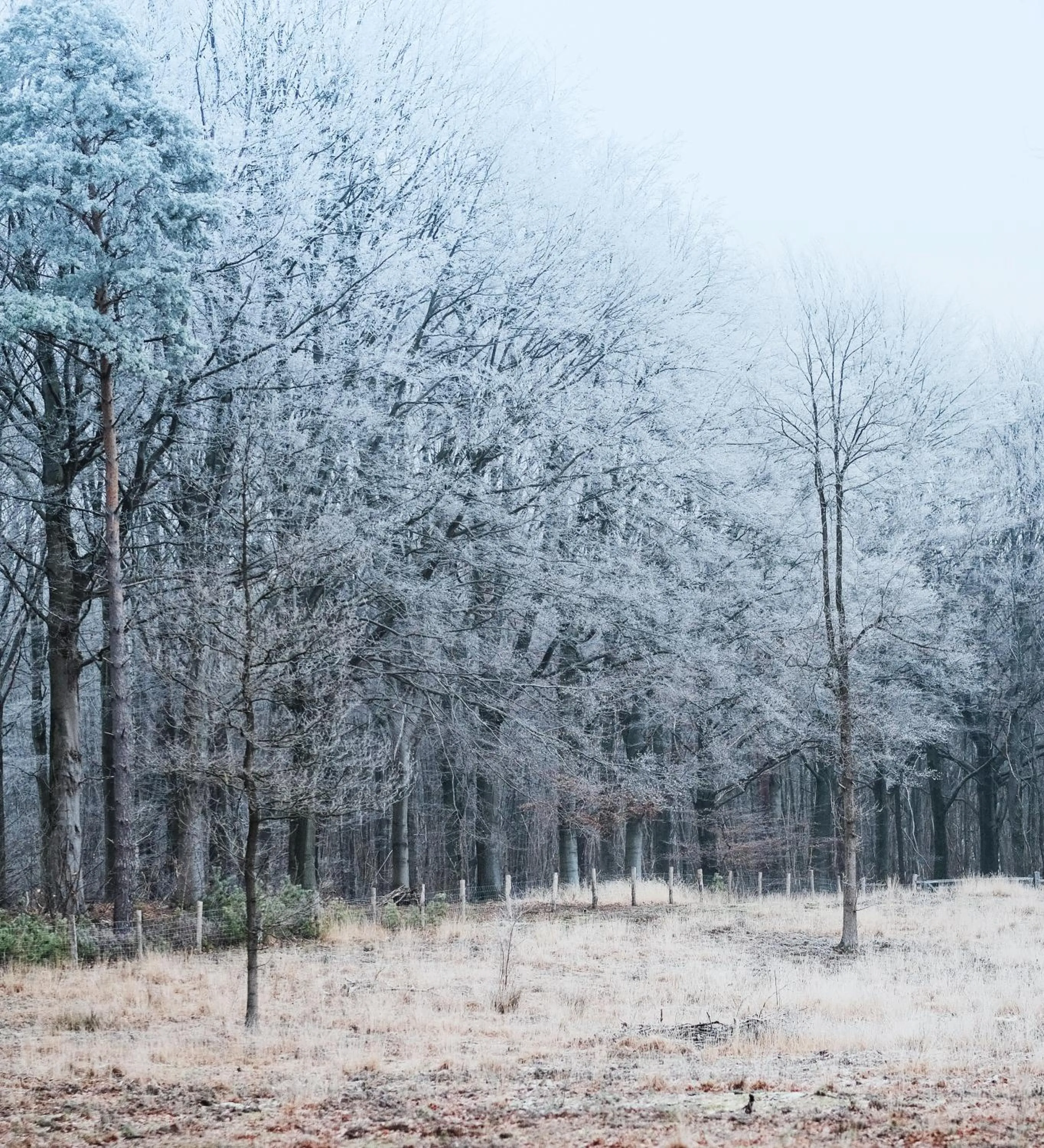 Natural landscape in Hotel Le Charme de la Semois