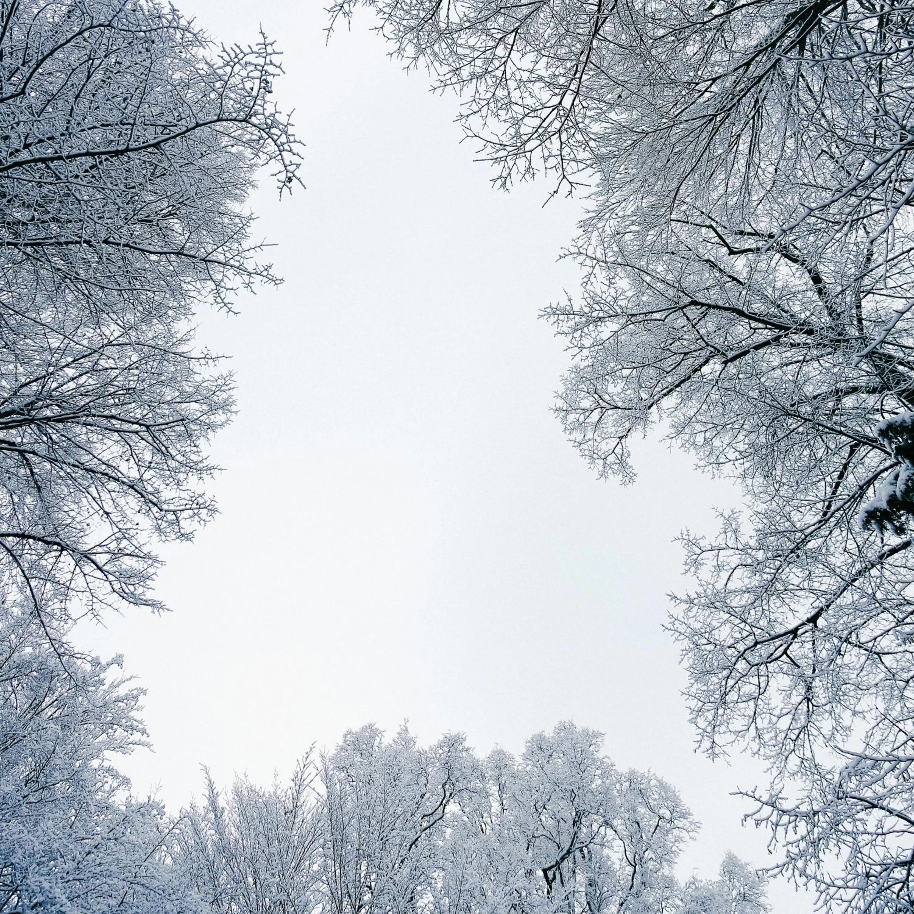 Natural landscape in Hotel Le Charme de la Semois