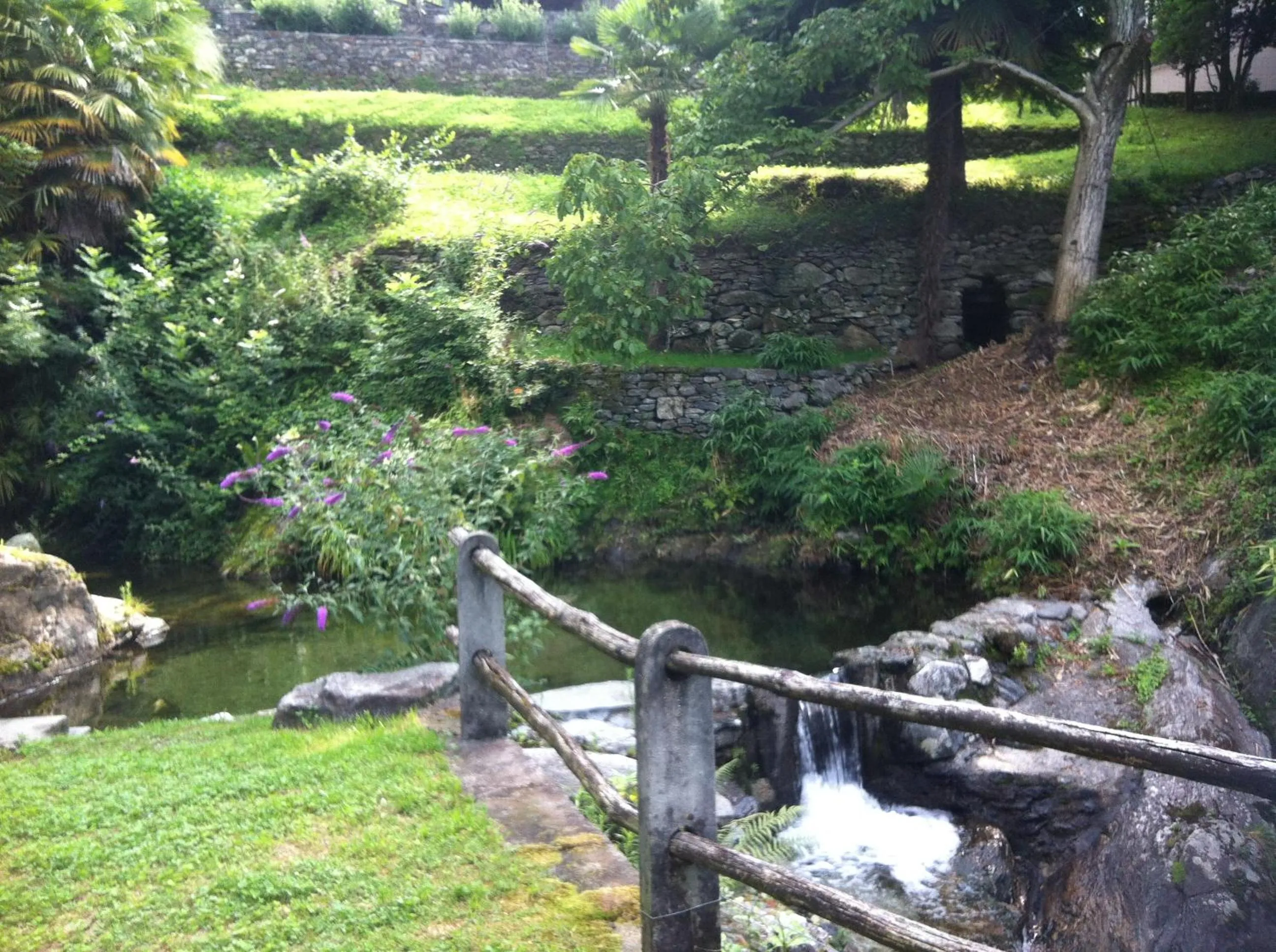 Garden view in Tenuta Casa Cima - tenutacasacima com -