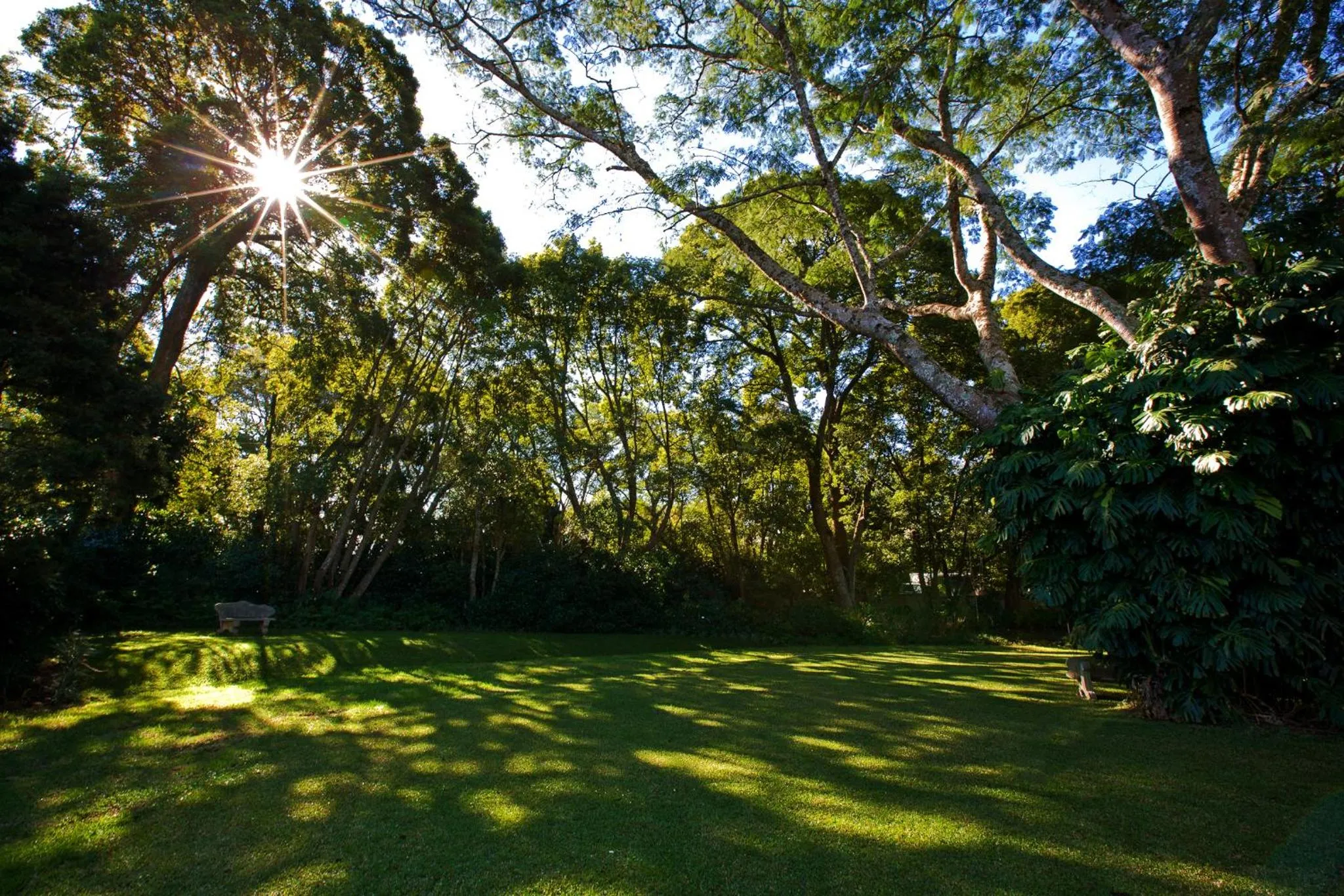 Garden in Eagle Wind Manor