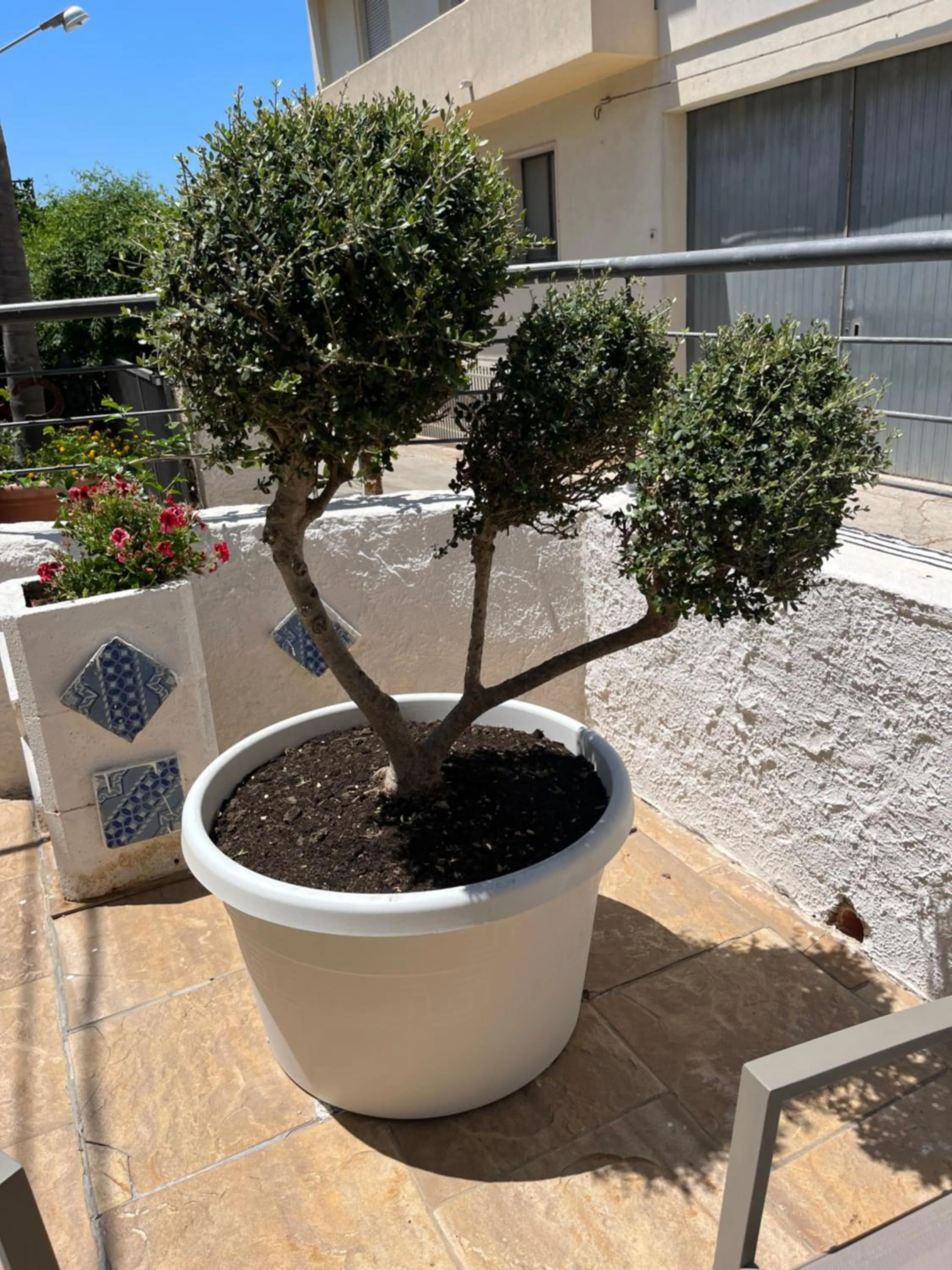 Patio in La Pergola B&B