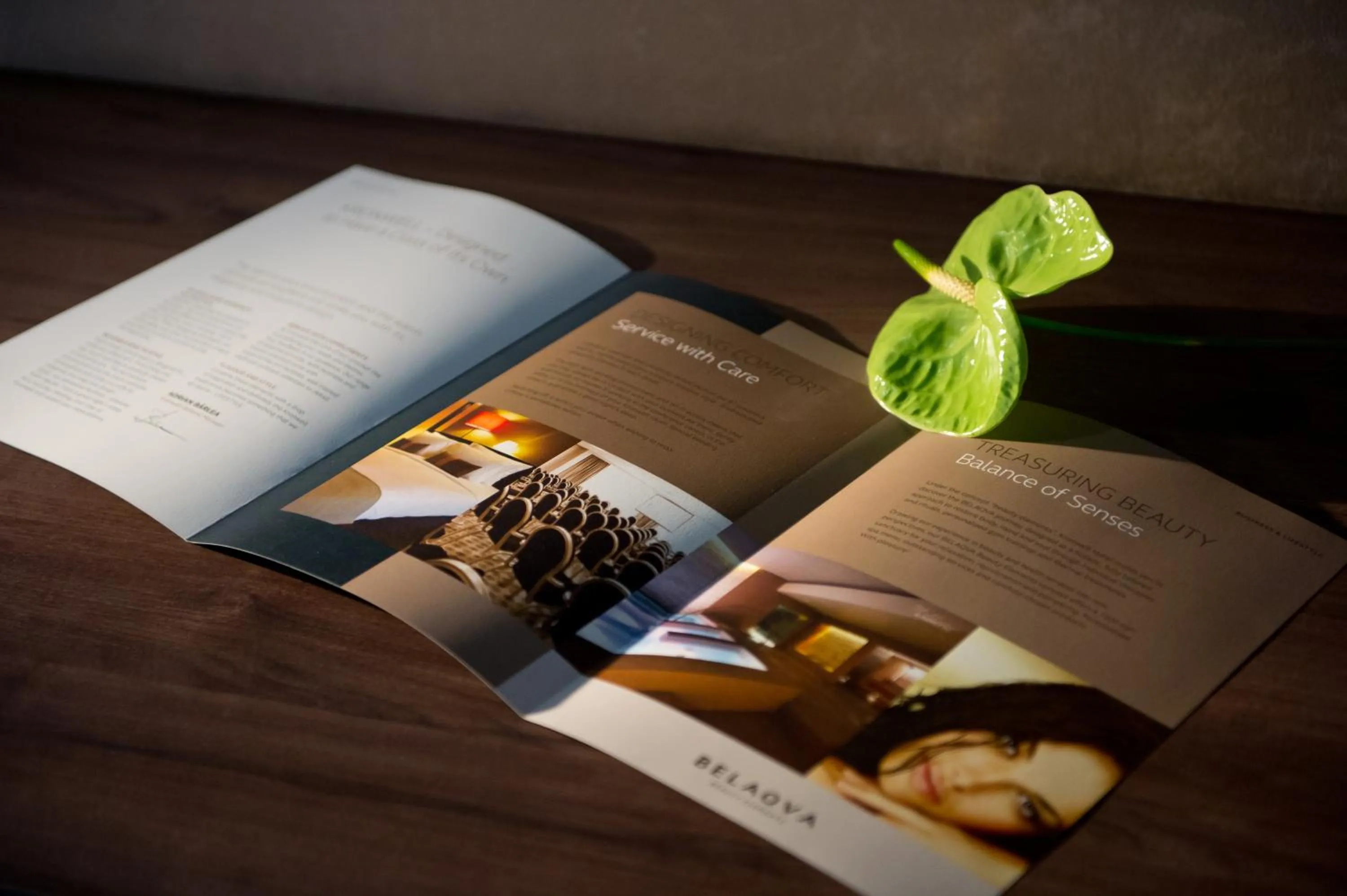 Decorative detail in Kronwell Brasov Hotel