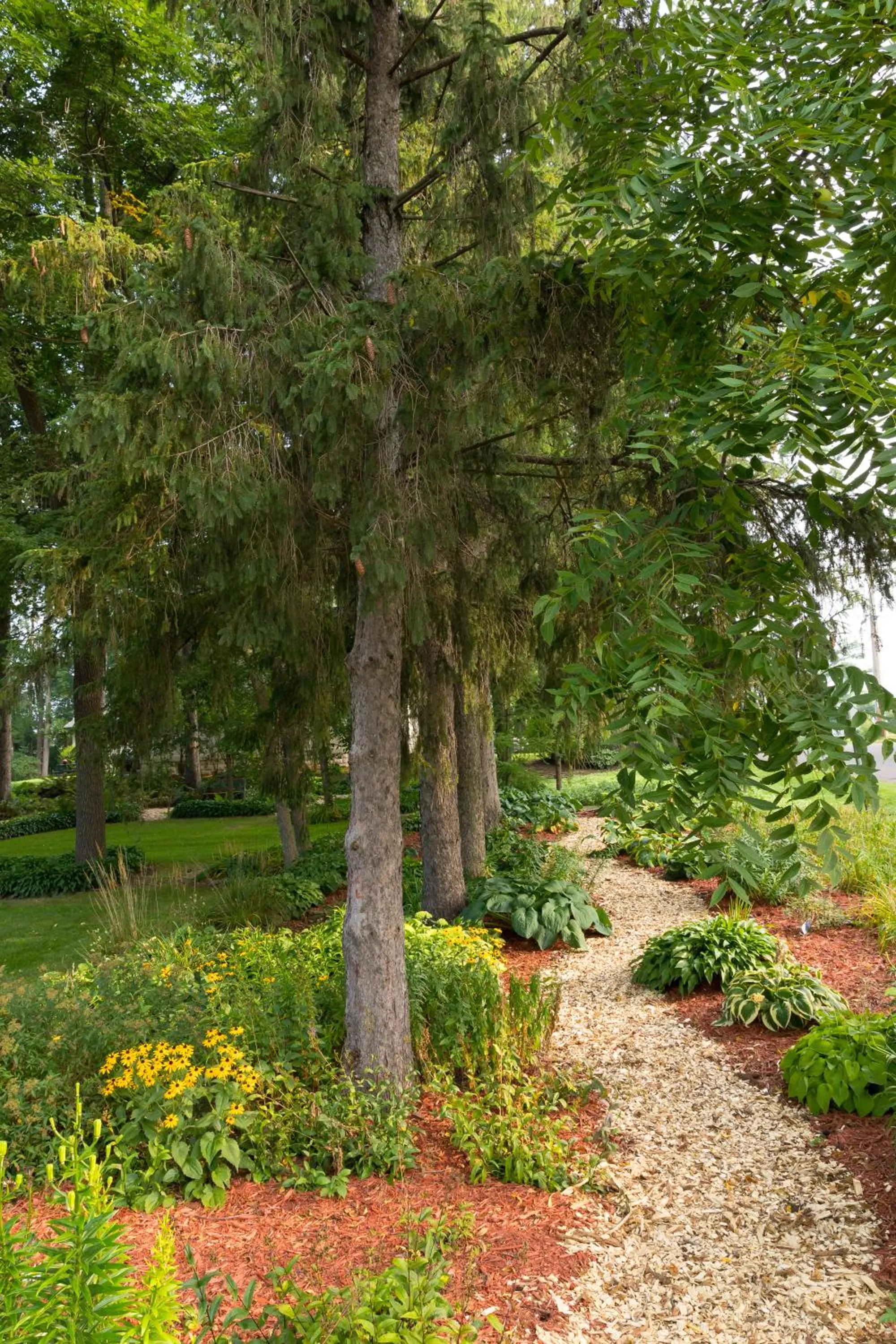 Activities in Oak Park Inn