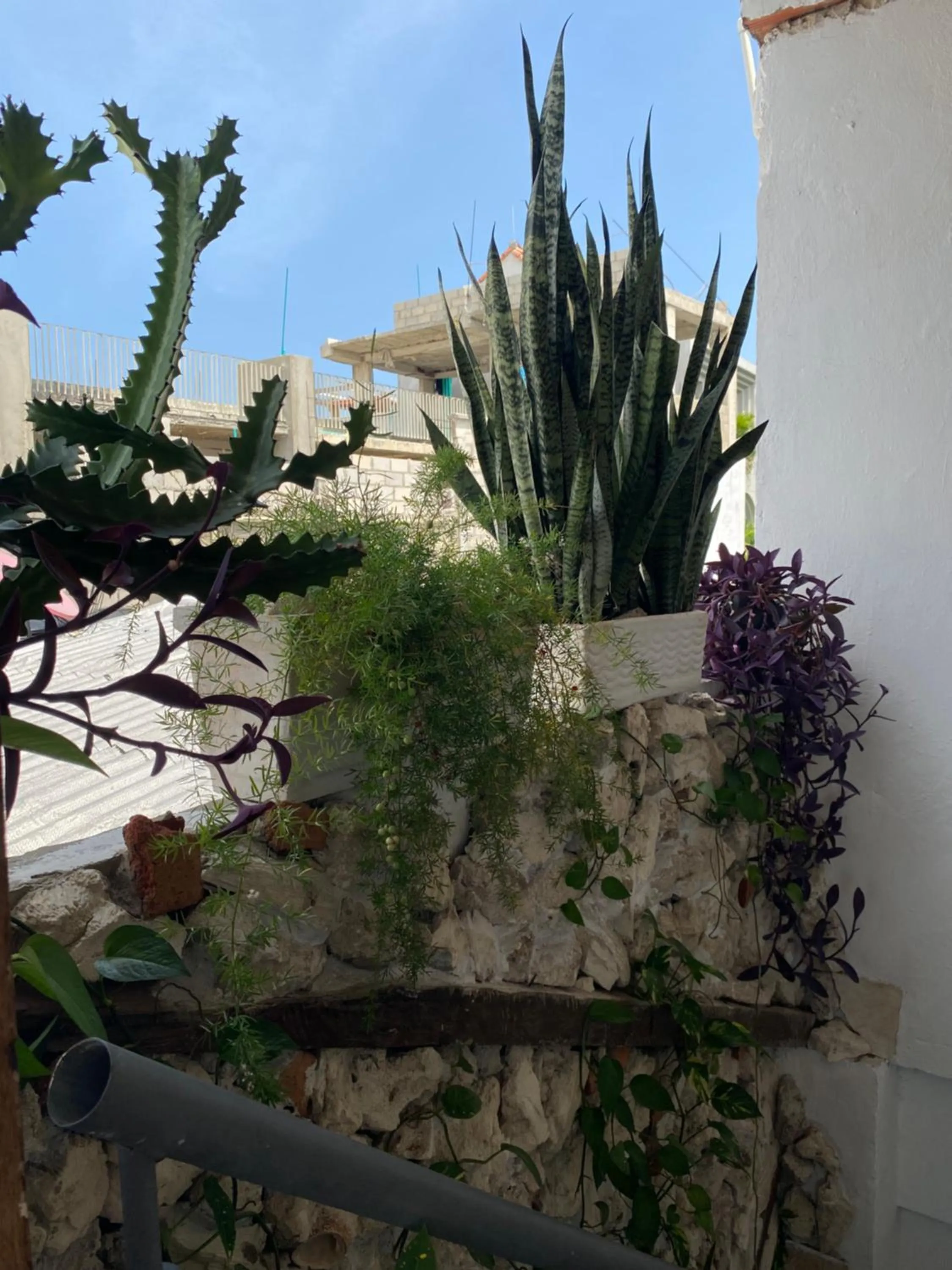 Balcony/Terrace in Balcones de Venecia