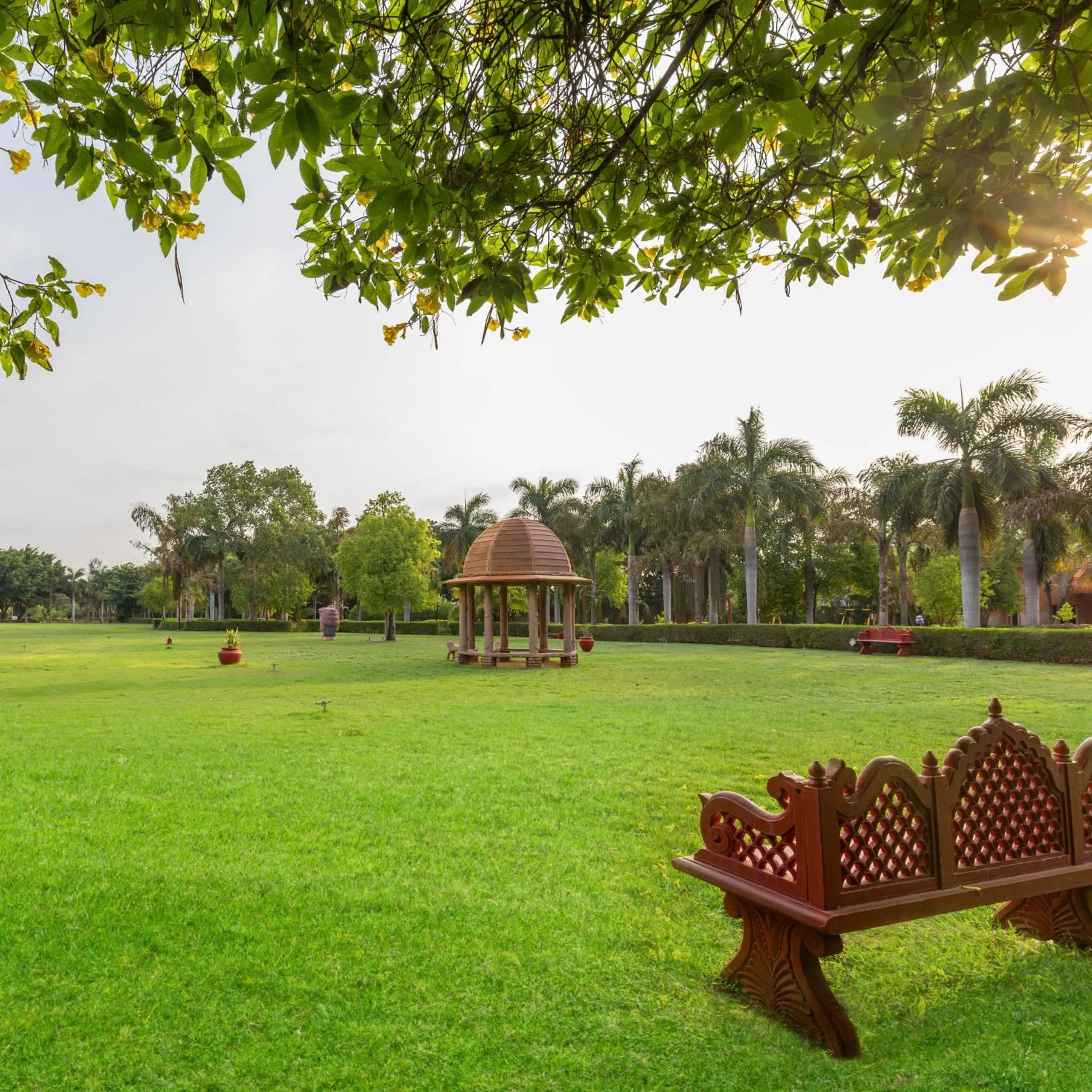 Natural landscape in Vijayshree Resort, Hampi