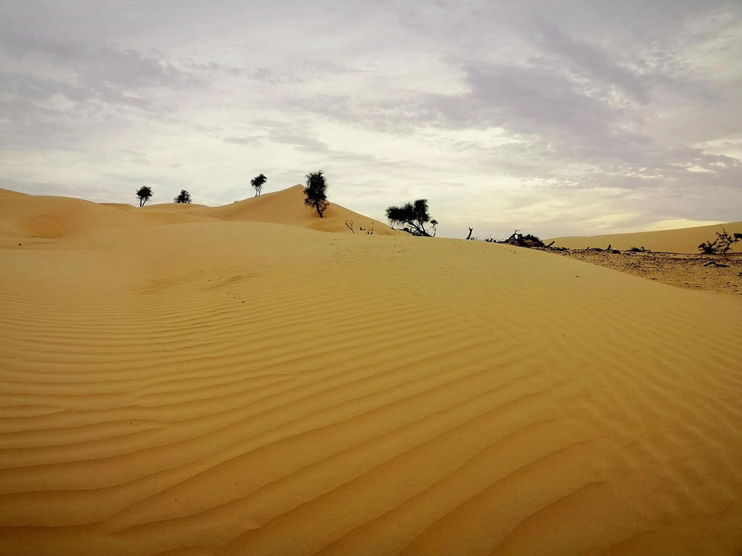 Natural landscape in Queen Desert camp