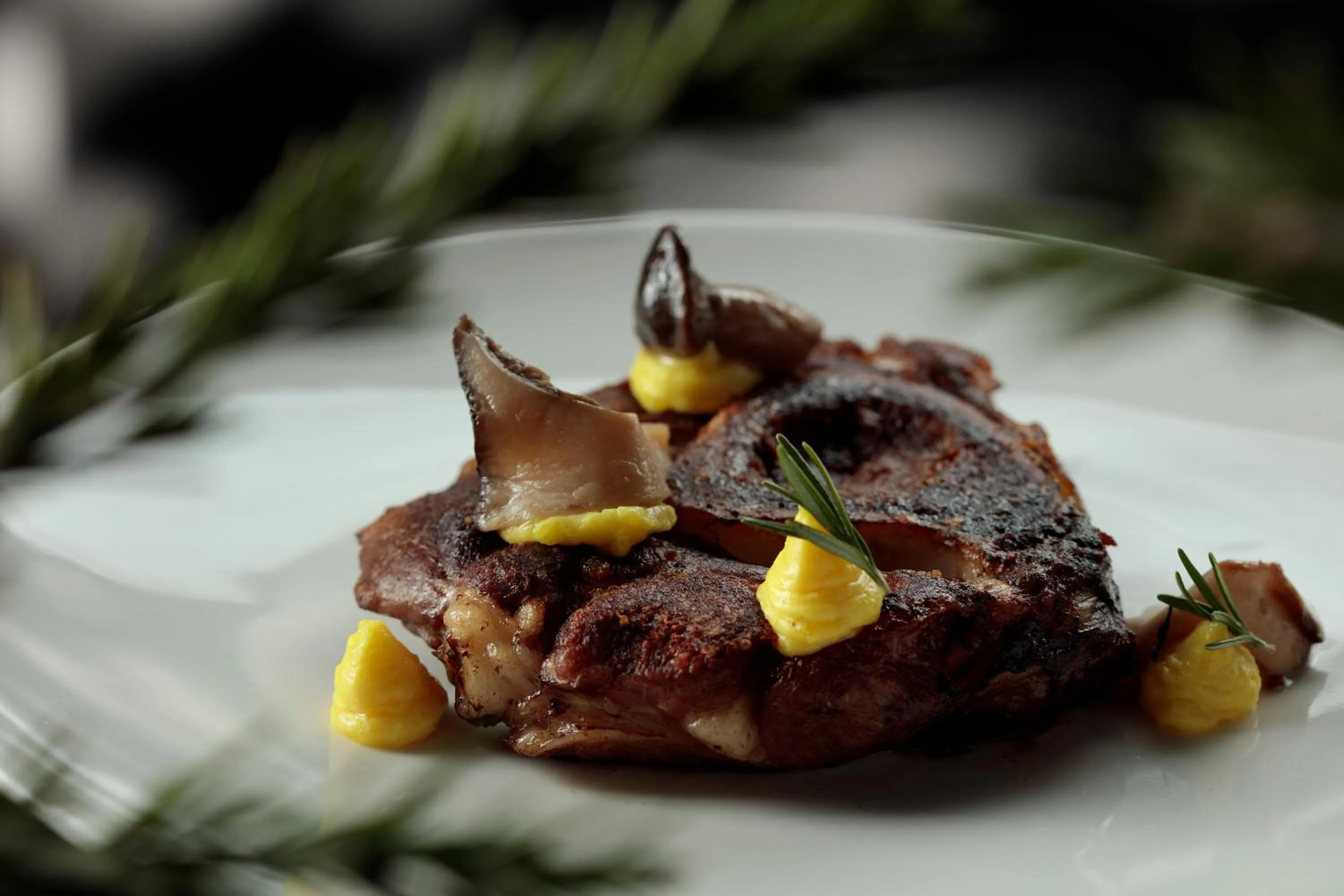 Restaurant/places to eat in 8Piuhotel