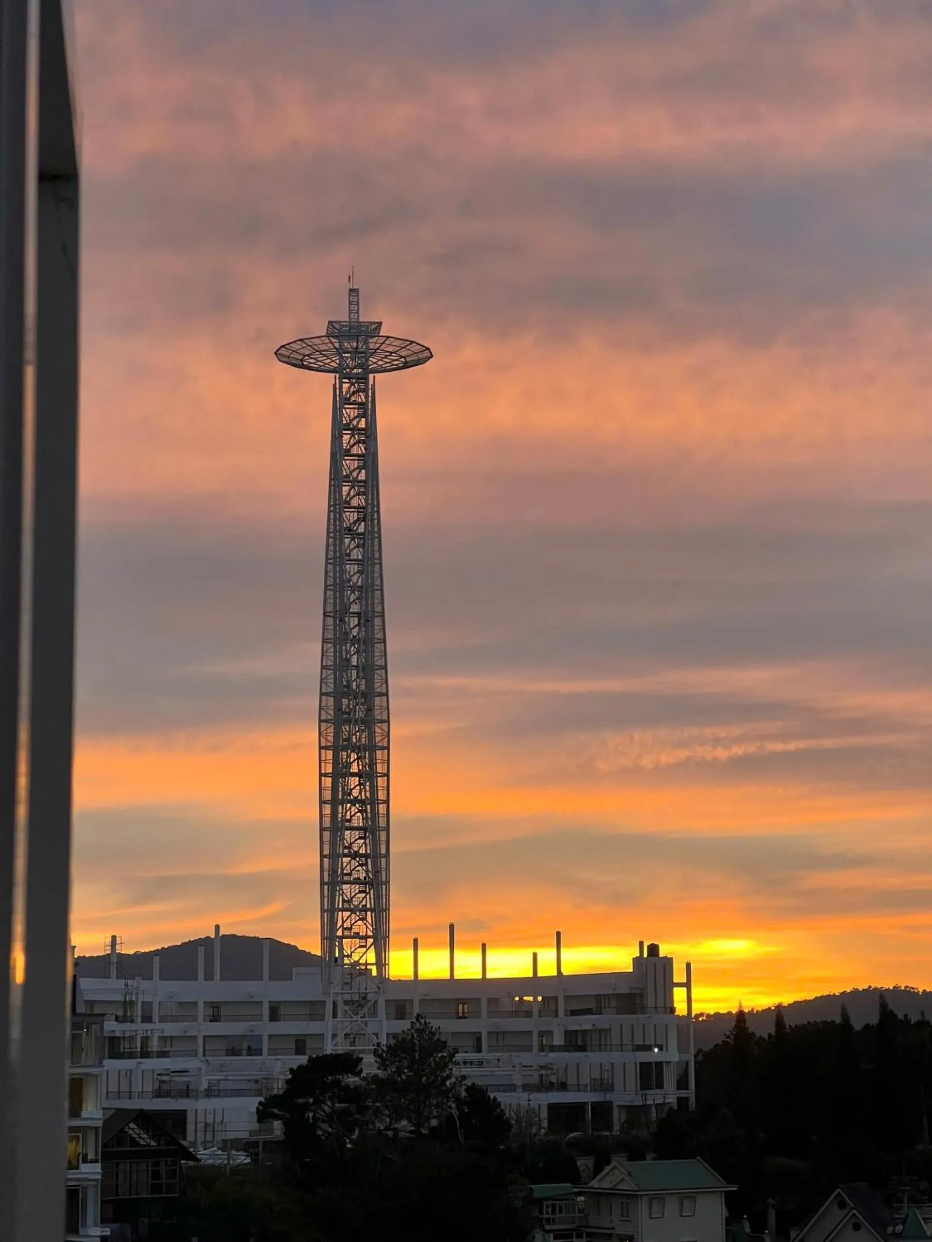 Natural landscape in New Life Hotel - Da Lat