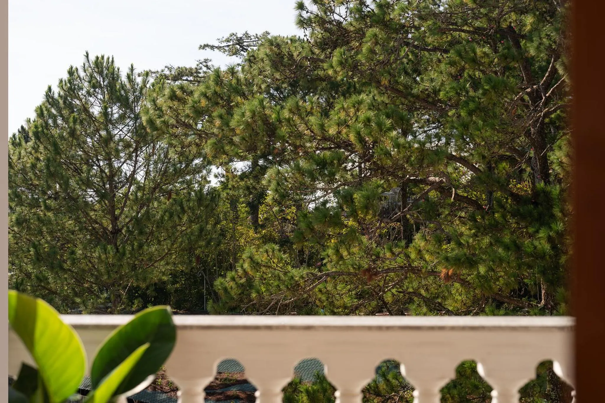 New Life Hotel - Da Lat