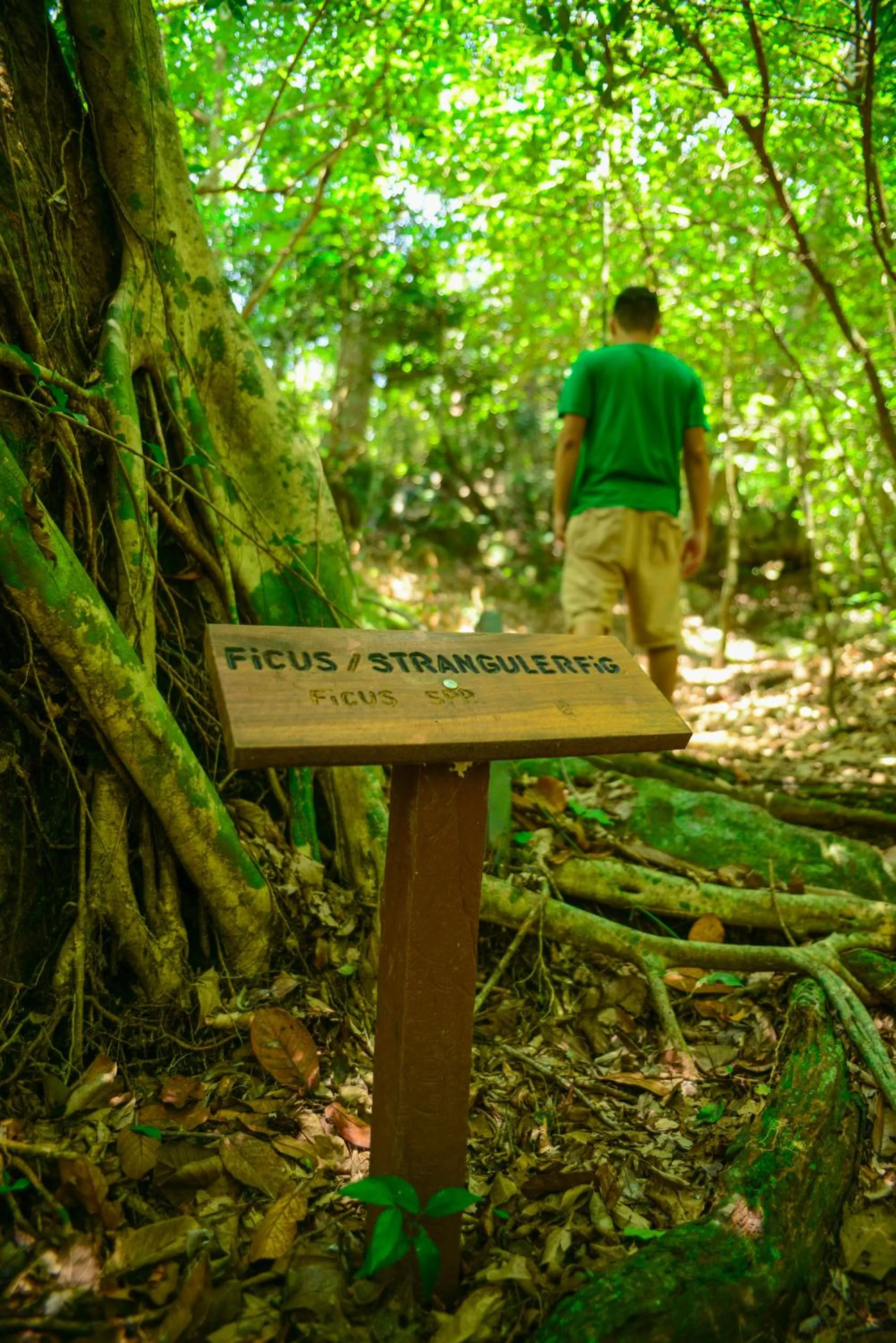 Off site in Rinconcito Lodge