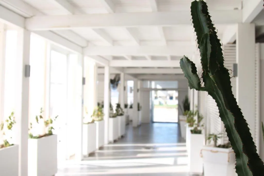 Area and facilities in Hotel La Terrazza