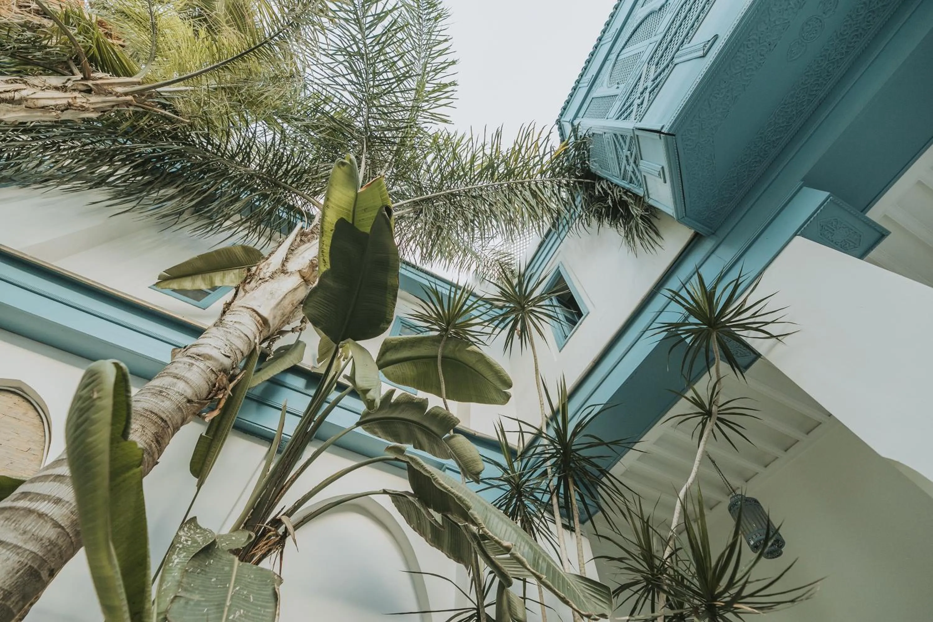 Riad Le Perroquet Bleu Suites & Spa