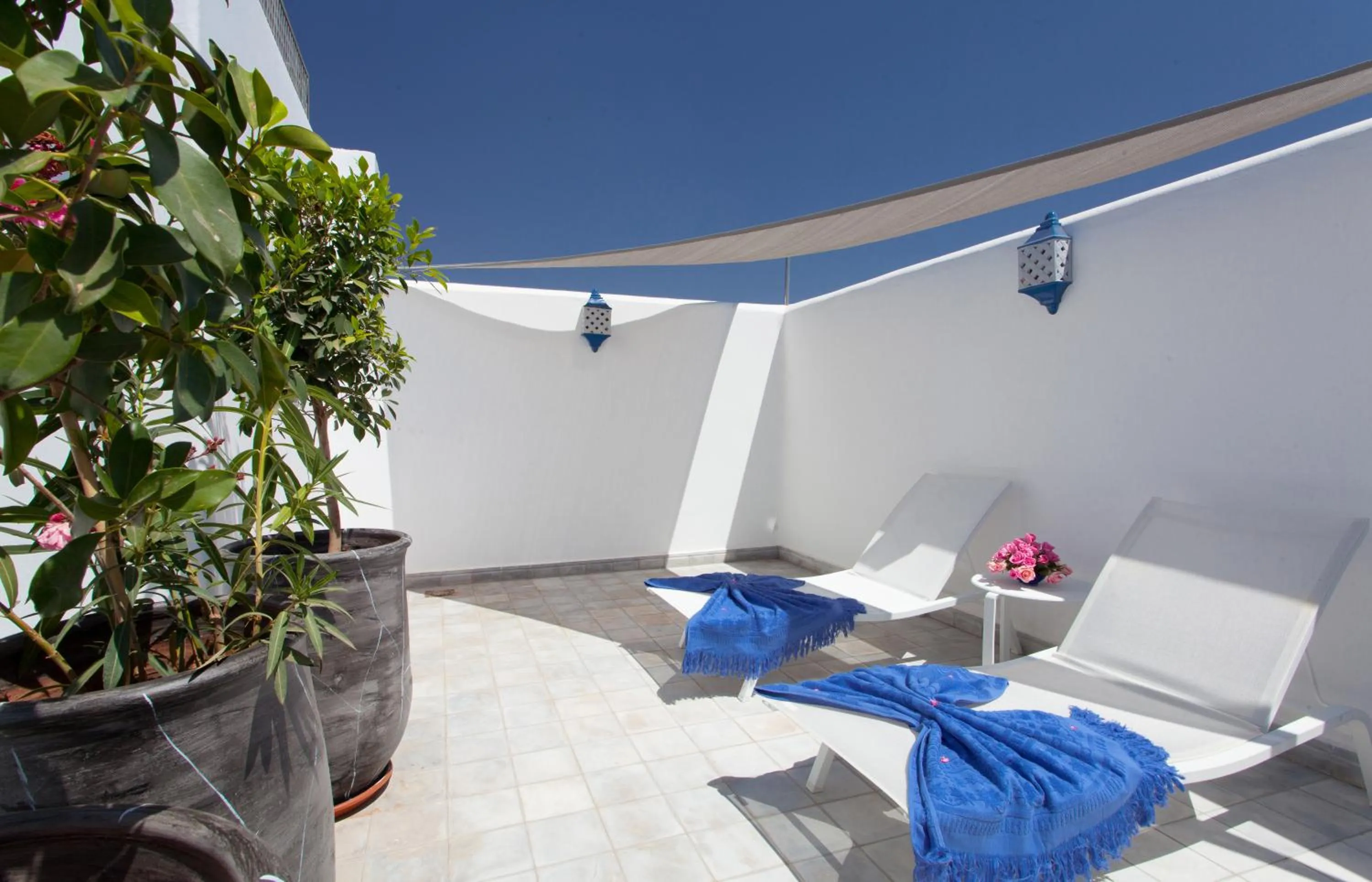 Balcony/Terrace in Riad Le Perroquet Bleu Suites & Spa