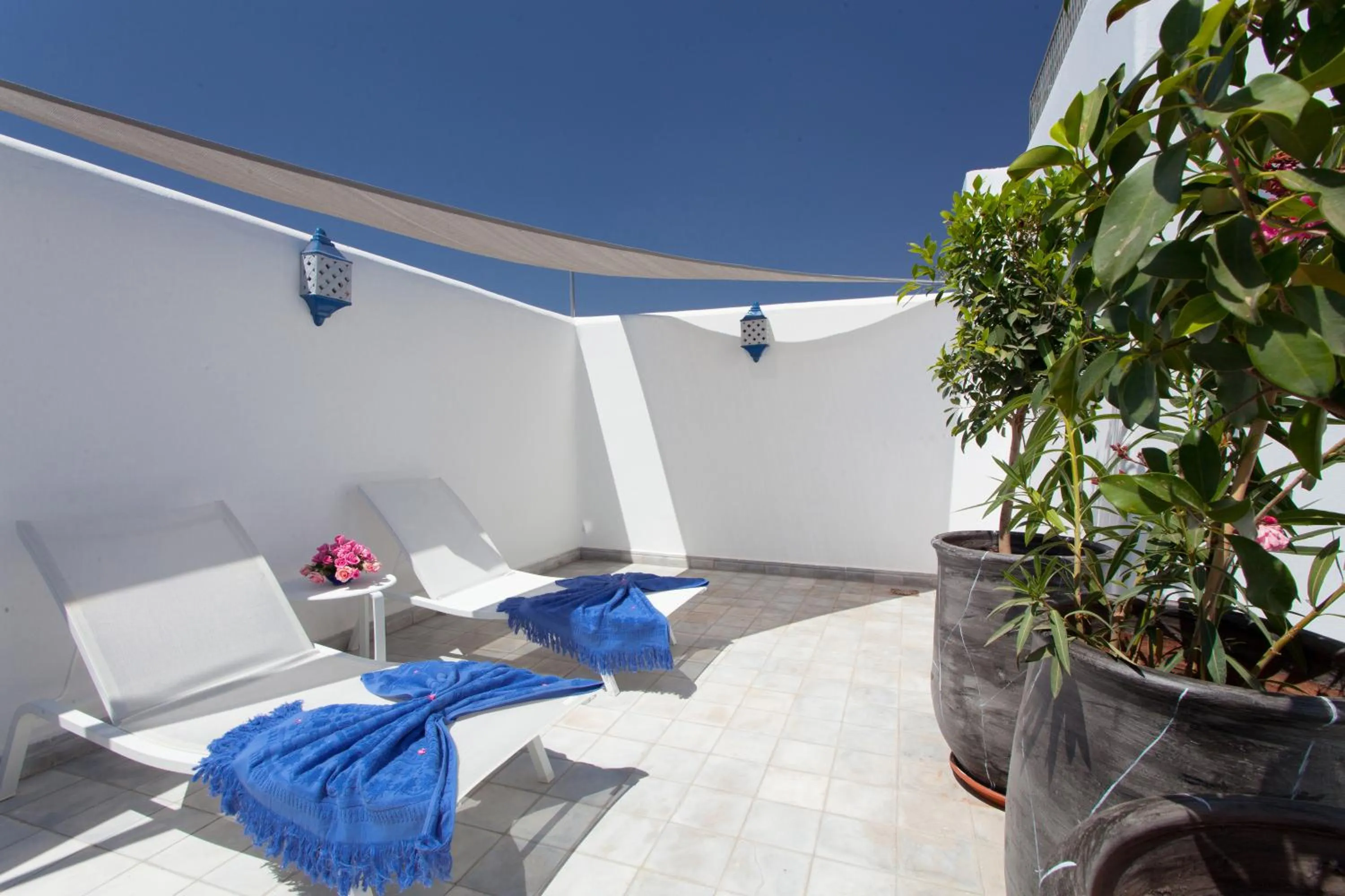 Balcony/Terrace in Riad Le Perroquet Bleu Suites & Spa