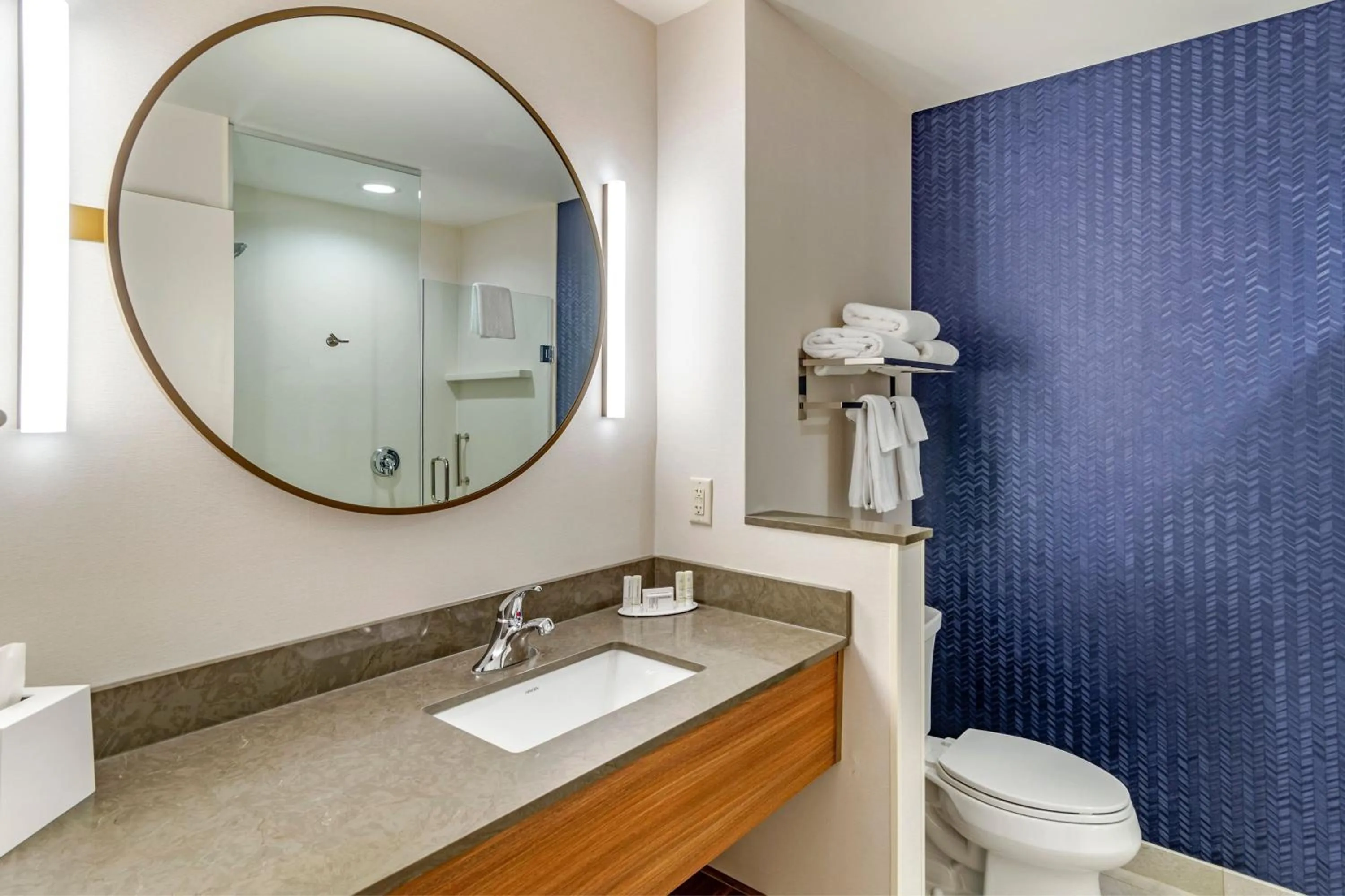 Bathroom in Fairfield Inn & Suites by Marriott Helen