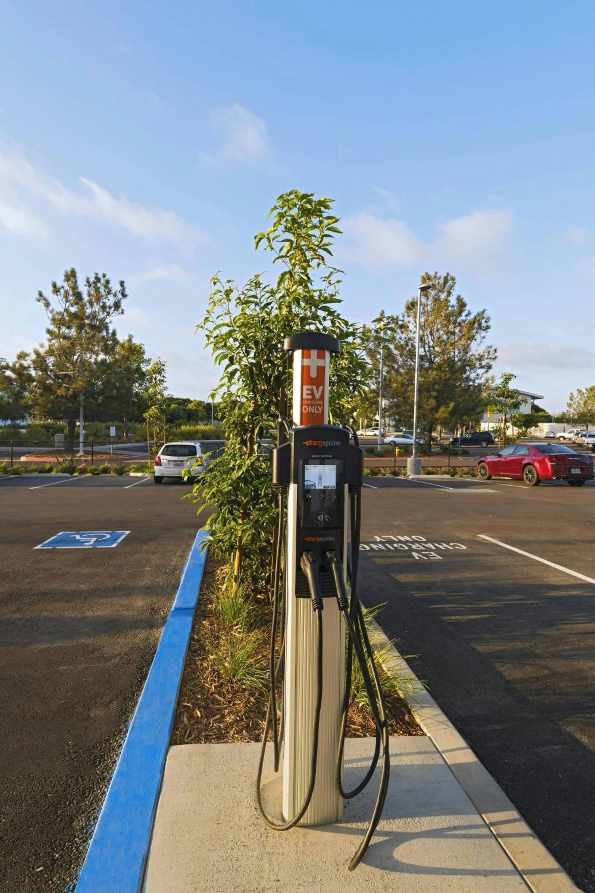 Other in TownePlace Suites by Marriott San Diego Airport/Liberty Station