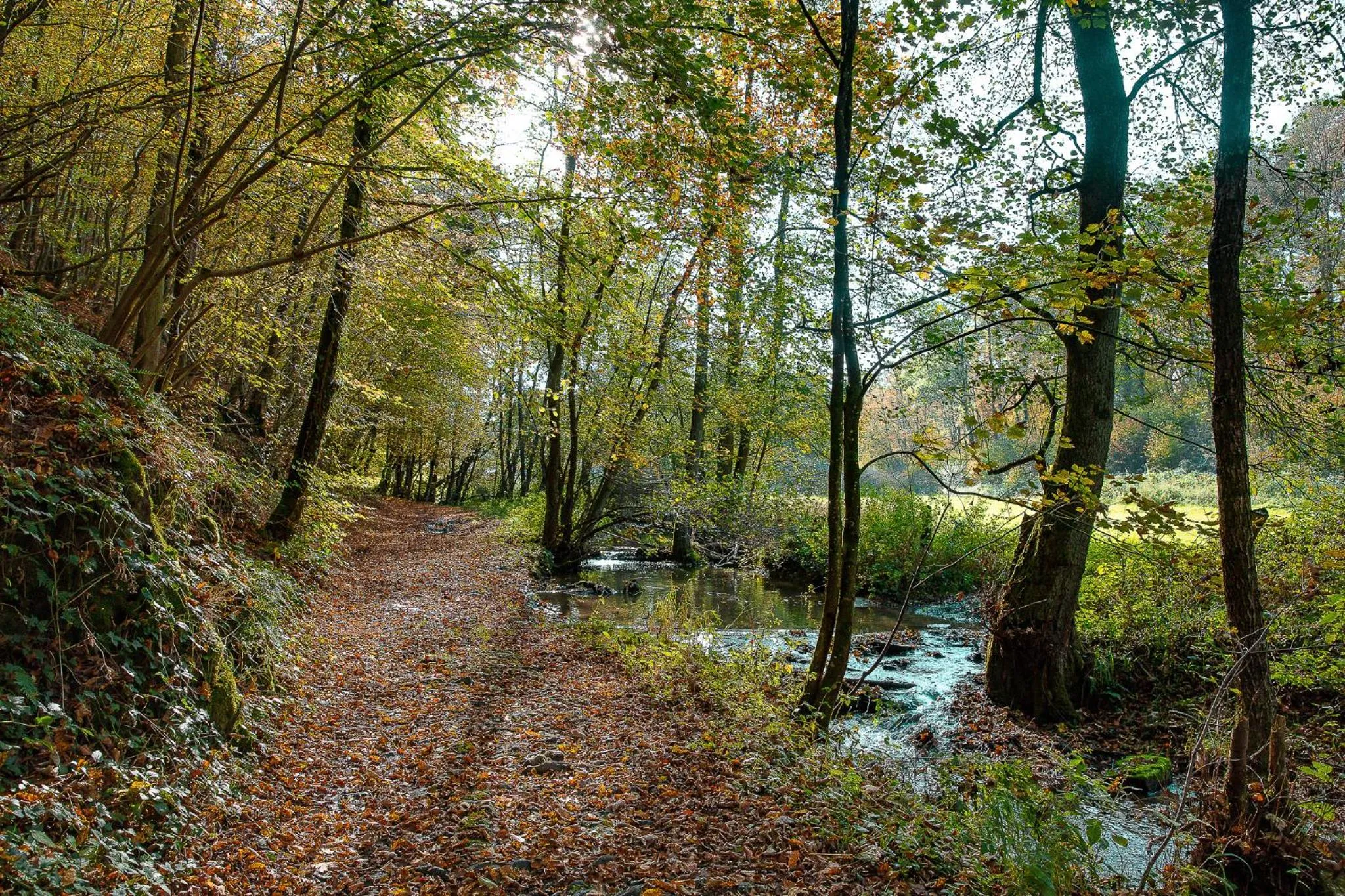 B&B HOTEL IN FERME DE LEUZE nabij Durbuy, eigen laadpalen