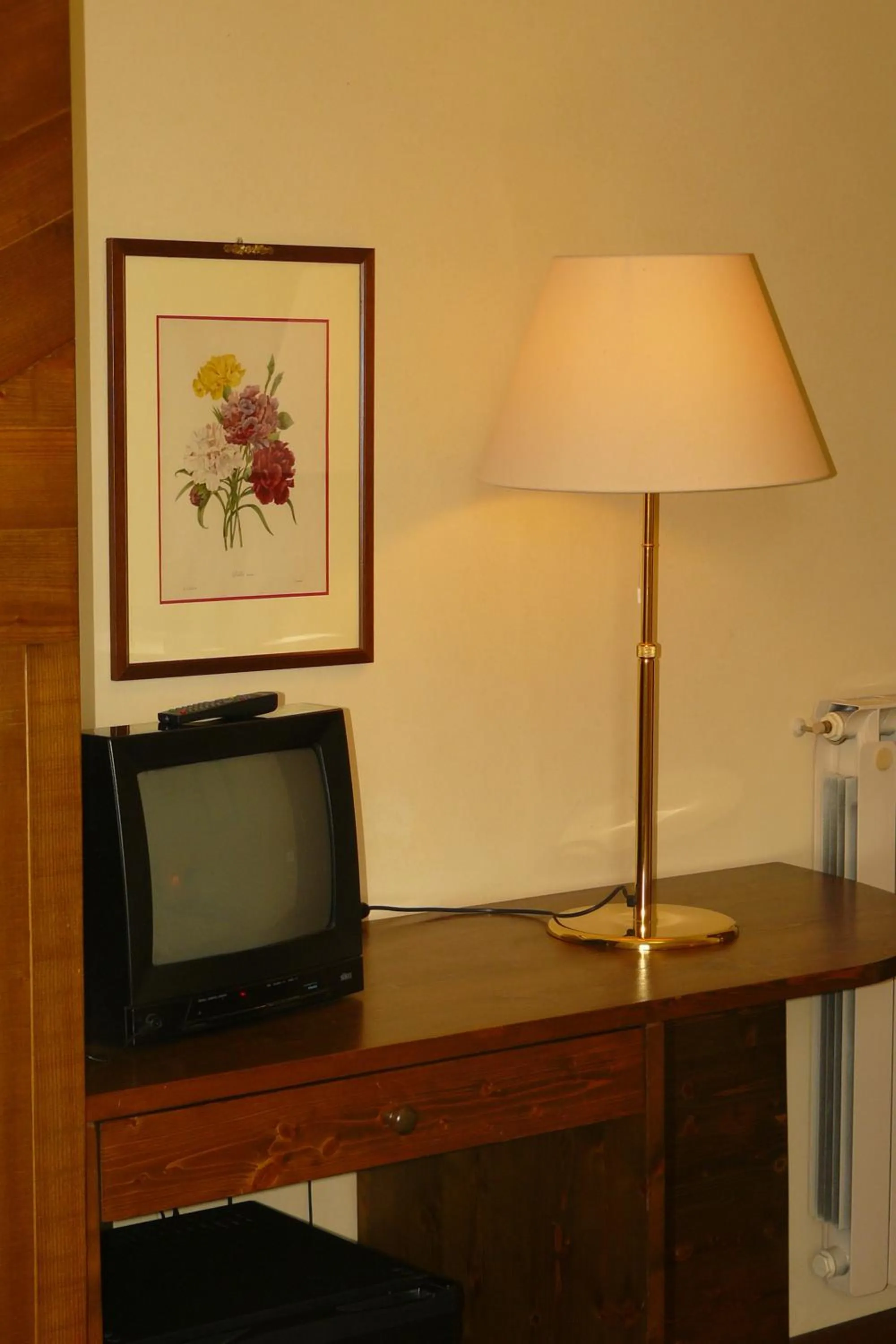 TV and multimedia in Hotel La Rocca