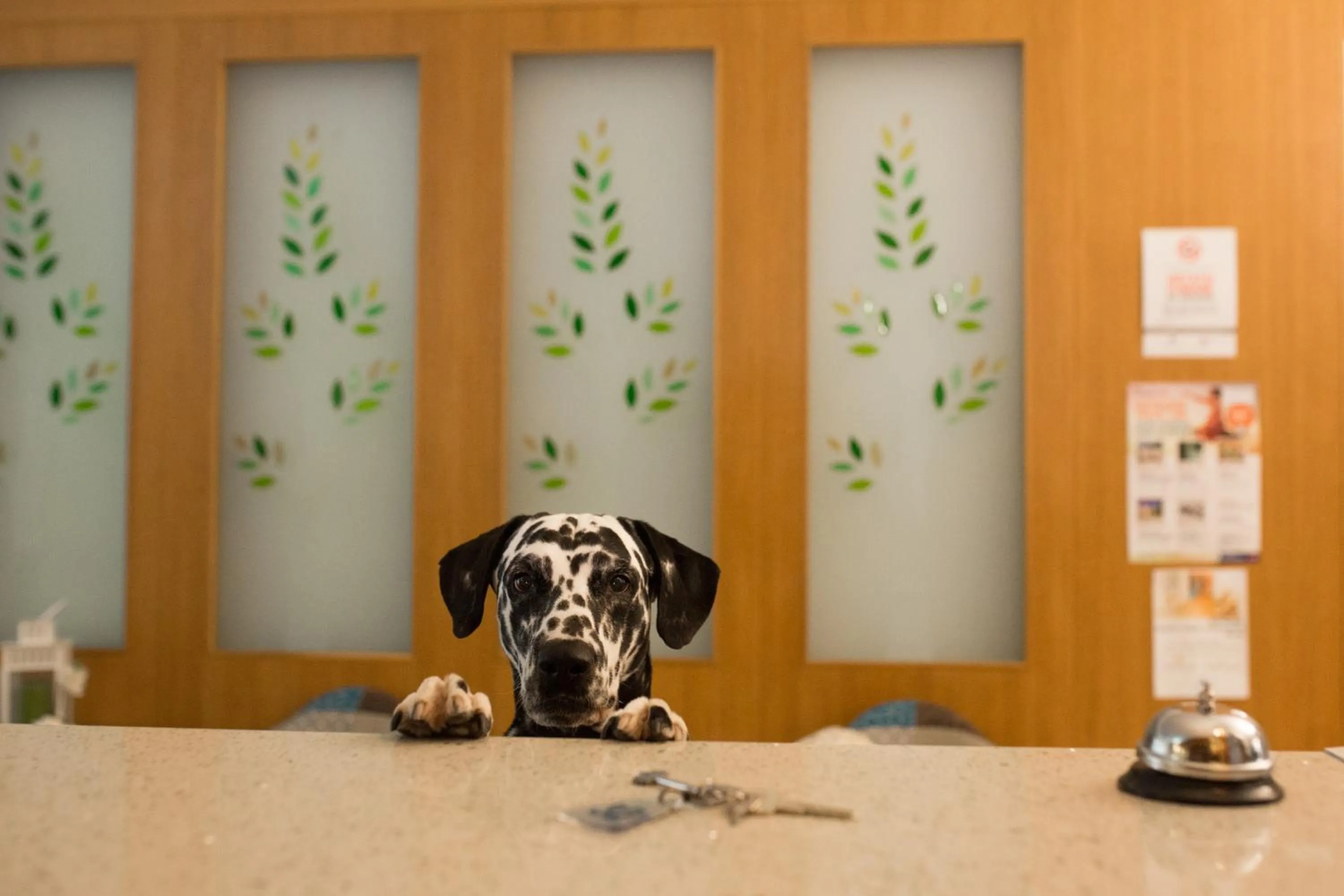 Pets in Hotel Gloria