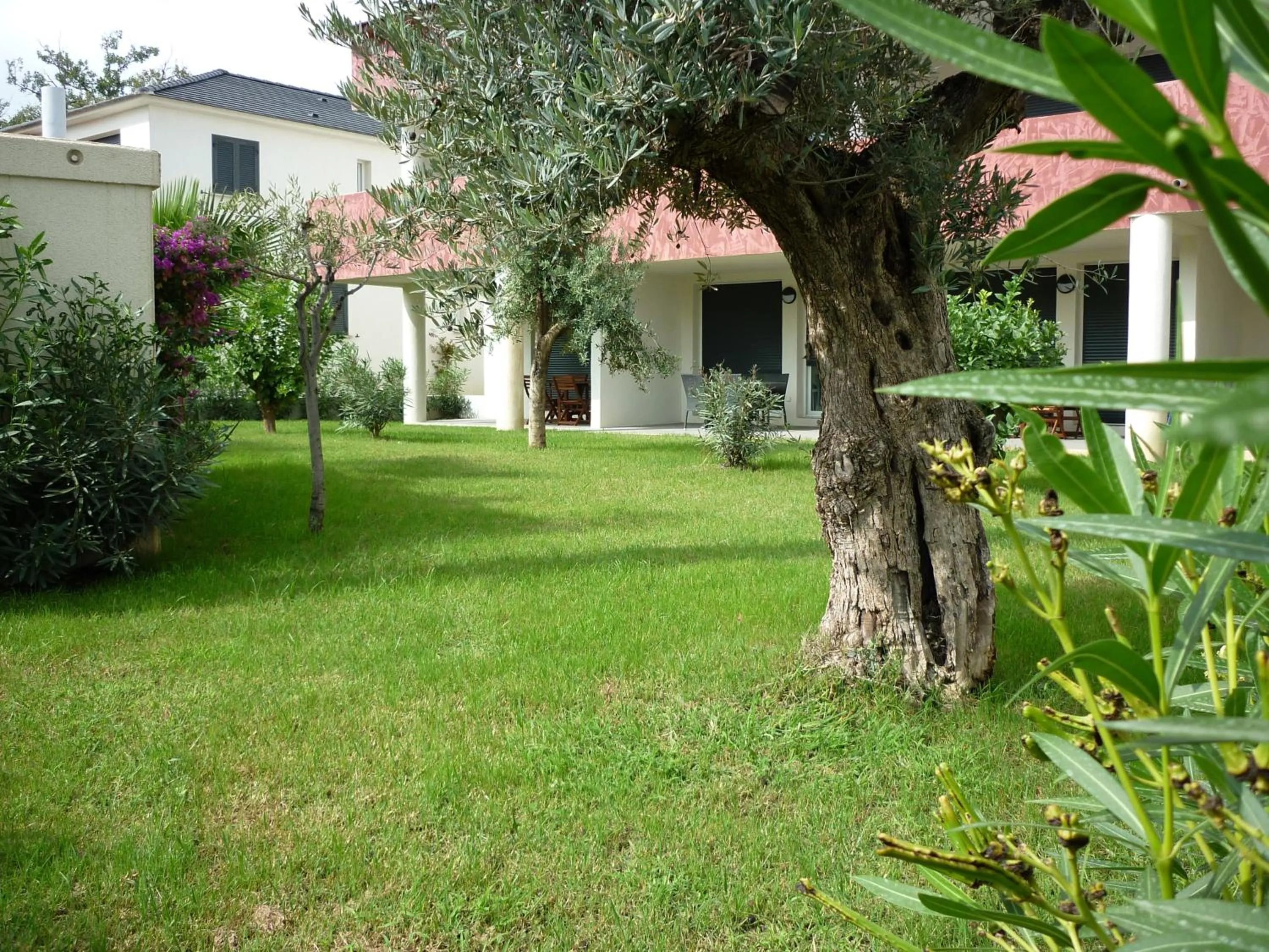 Garden view in Residence Marea Resort