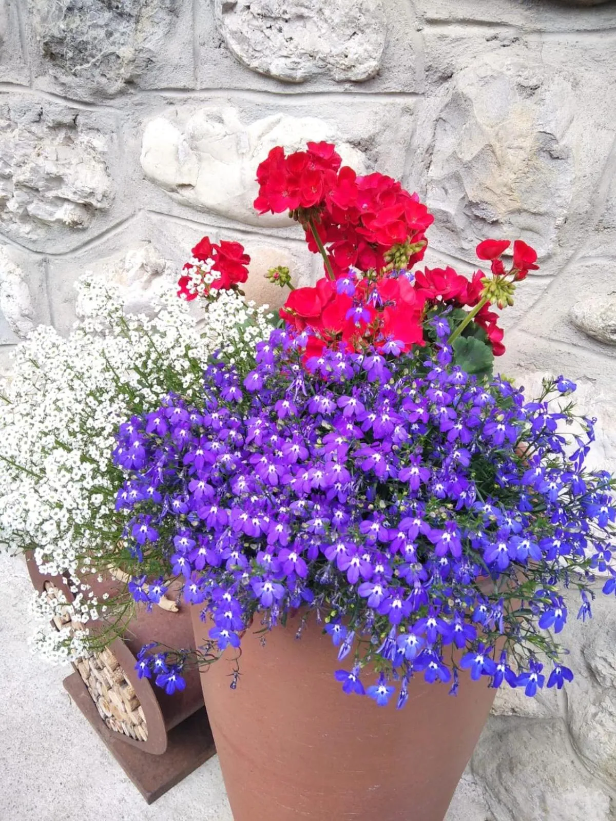 Property building in Lamirì