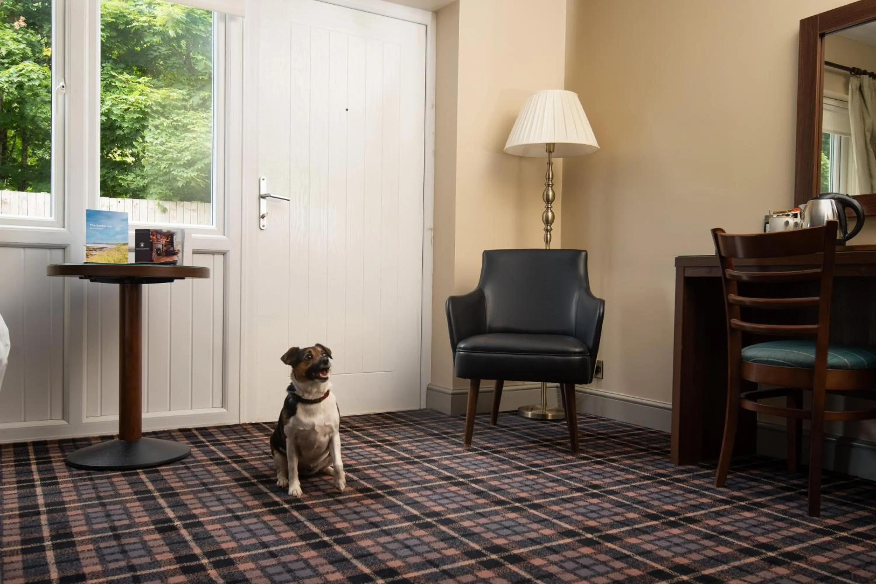 pet friendly in The Amble Inn - The Inn Collection Group