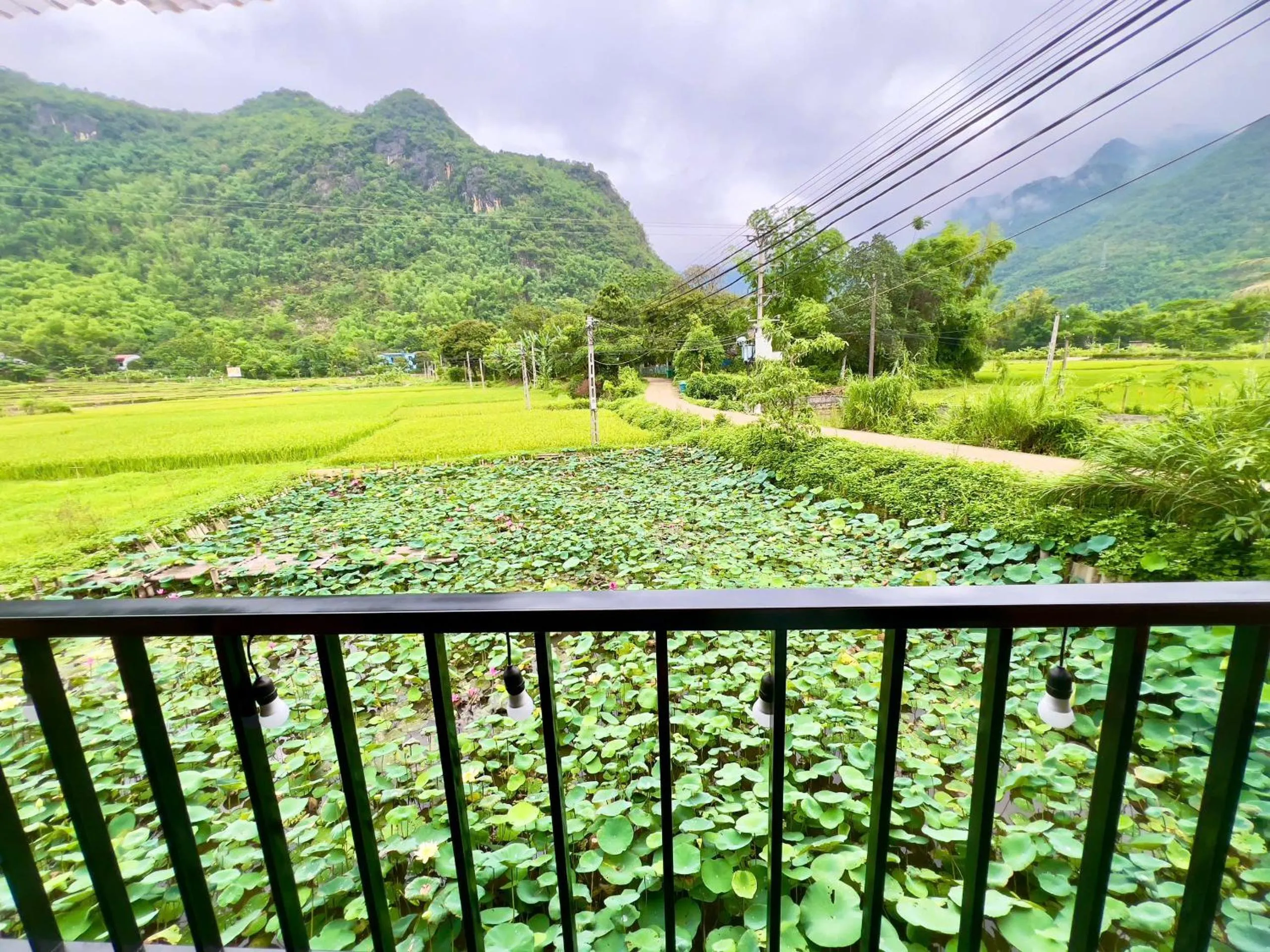 View (from property/room) in Mai Chau Sky Resort