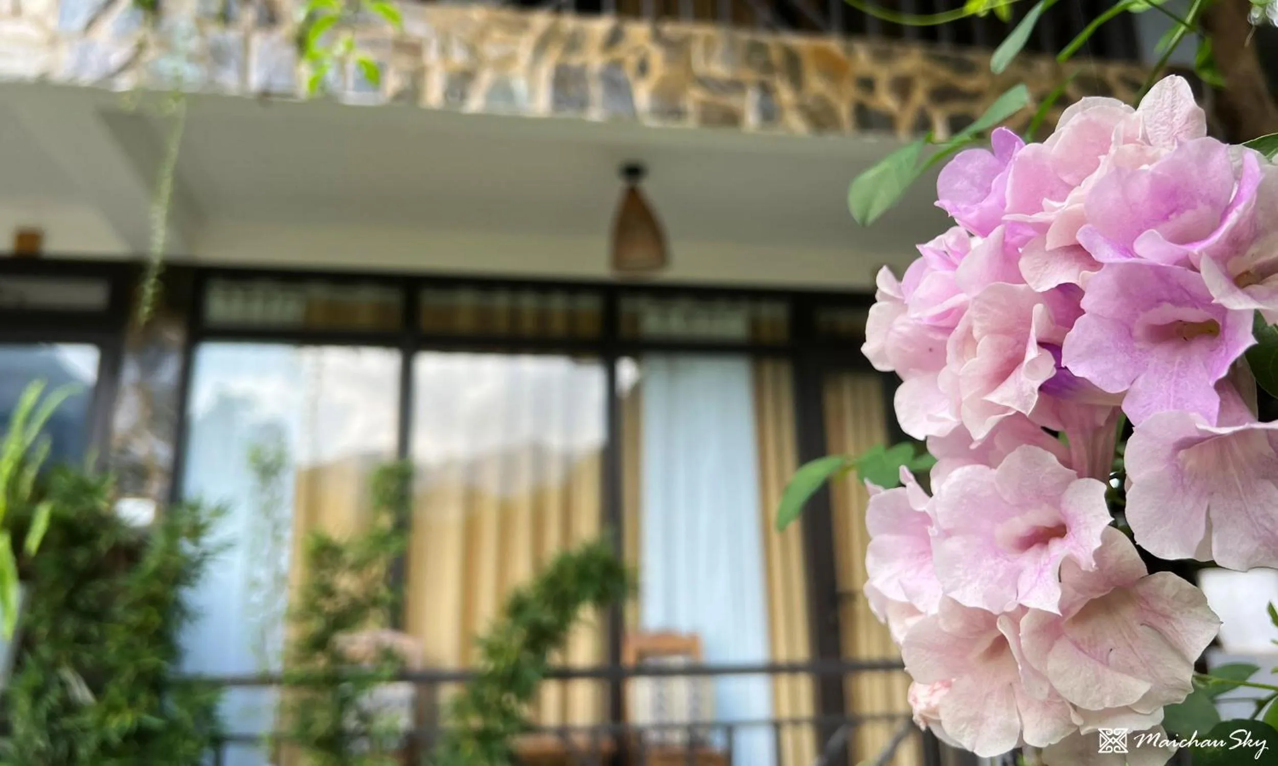 Spring in Mai Chau Sky Resort