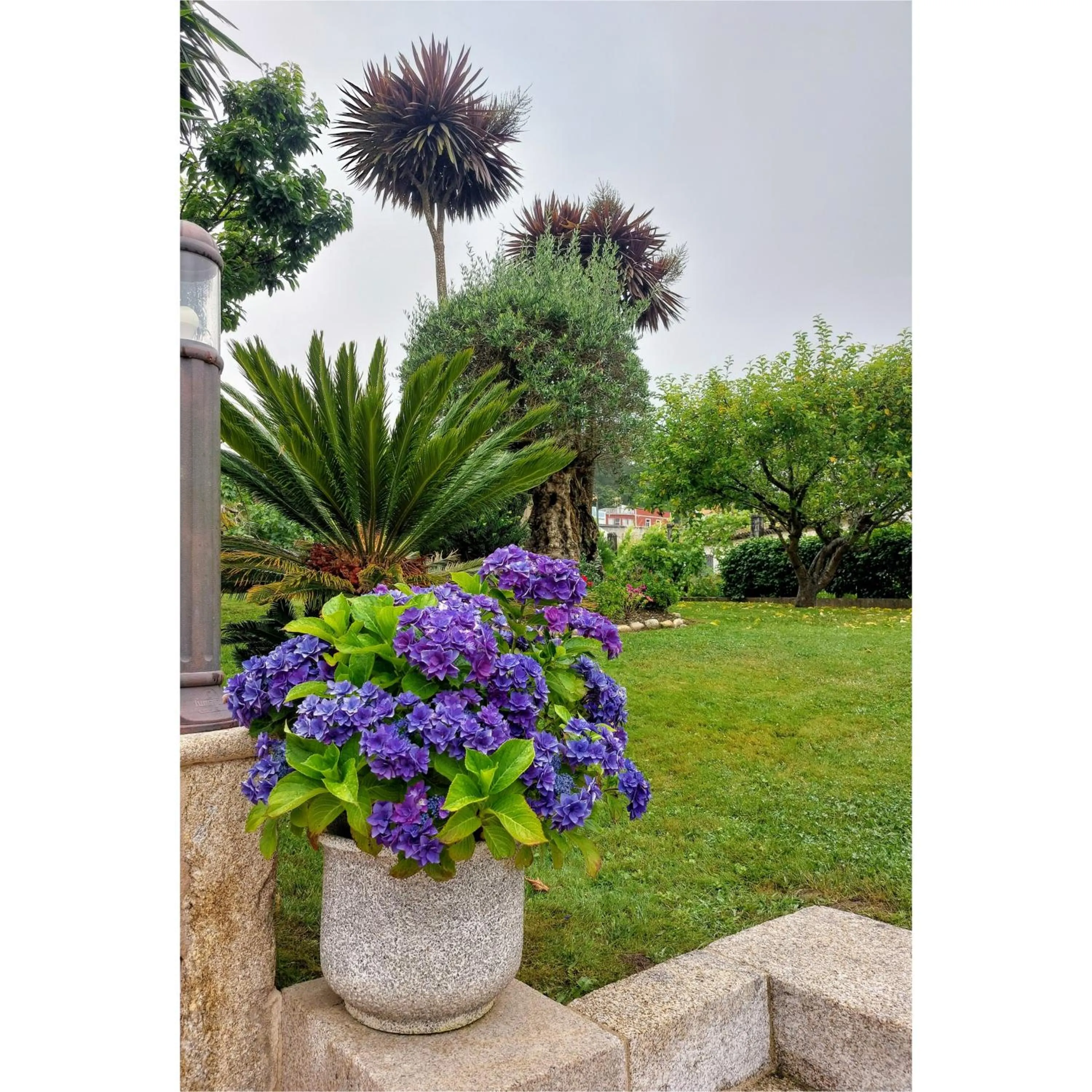 Hotel Apartamento Marouco