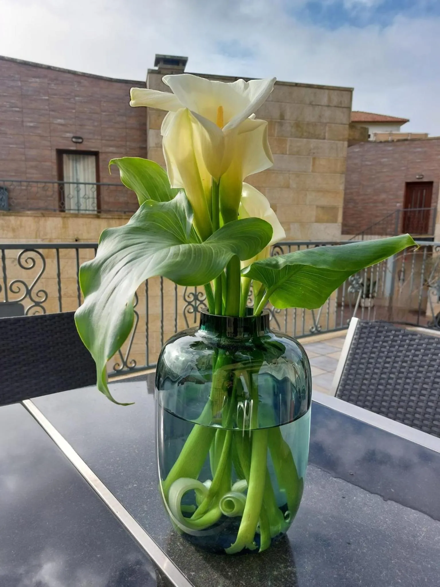 Balcony/Terrace in Hotel Apartamento Marouco