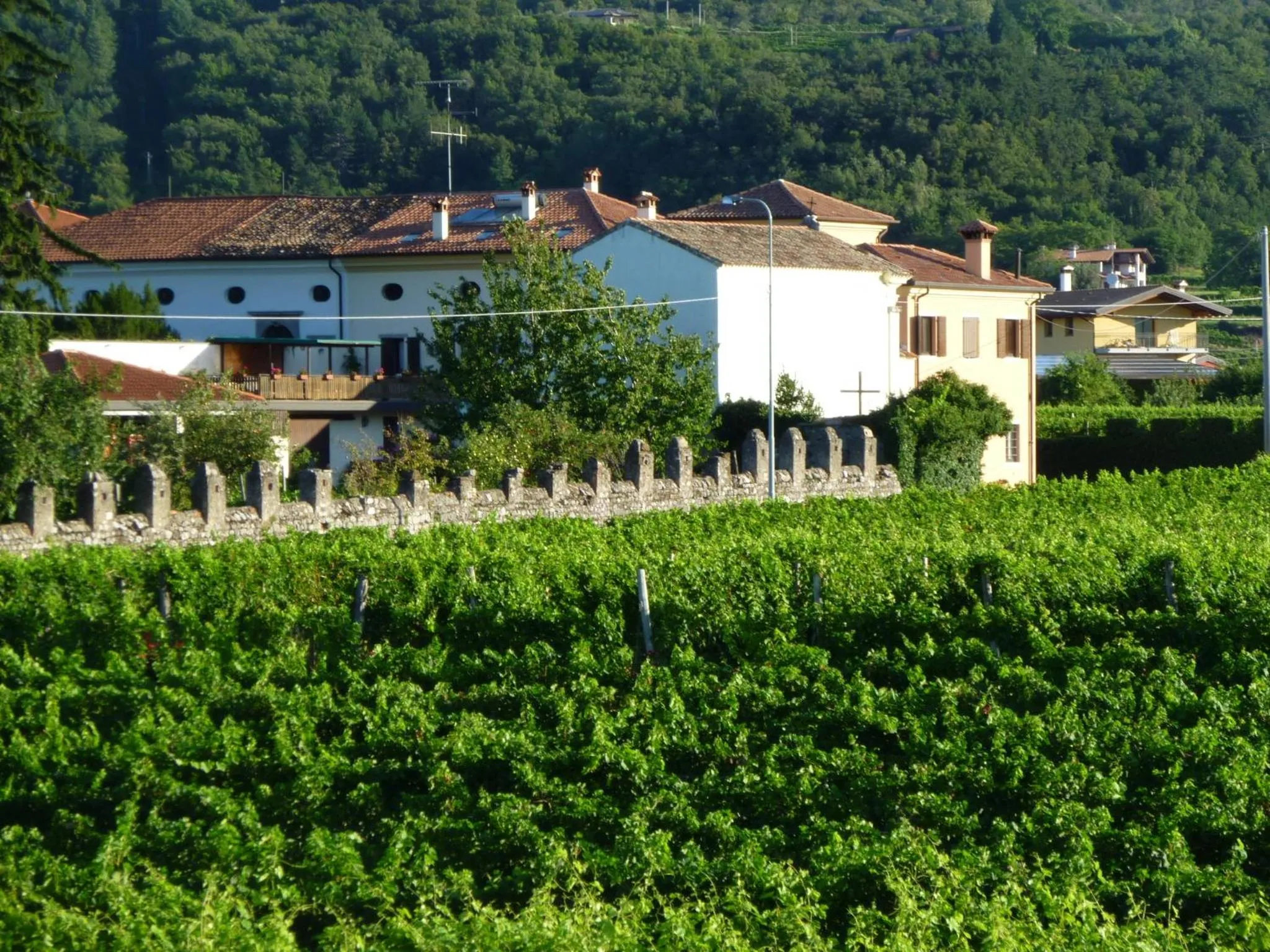 Street view in Agriturismo Grillo Iole Winery