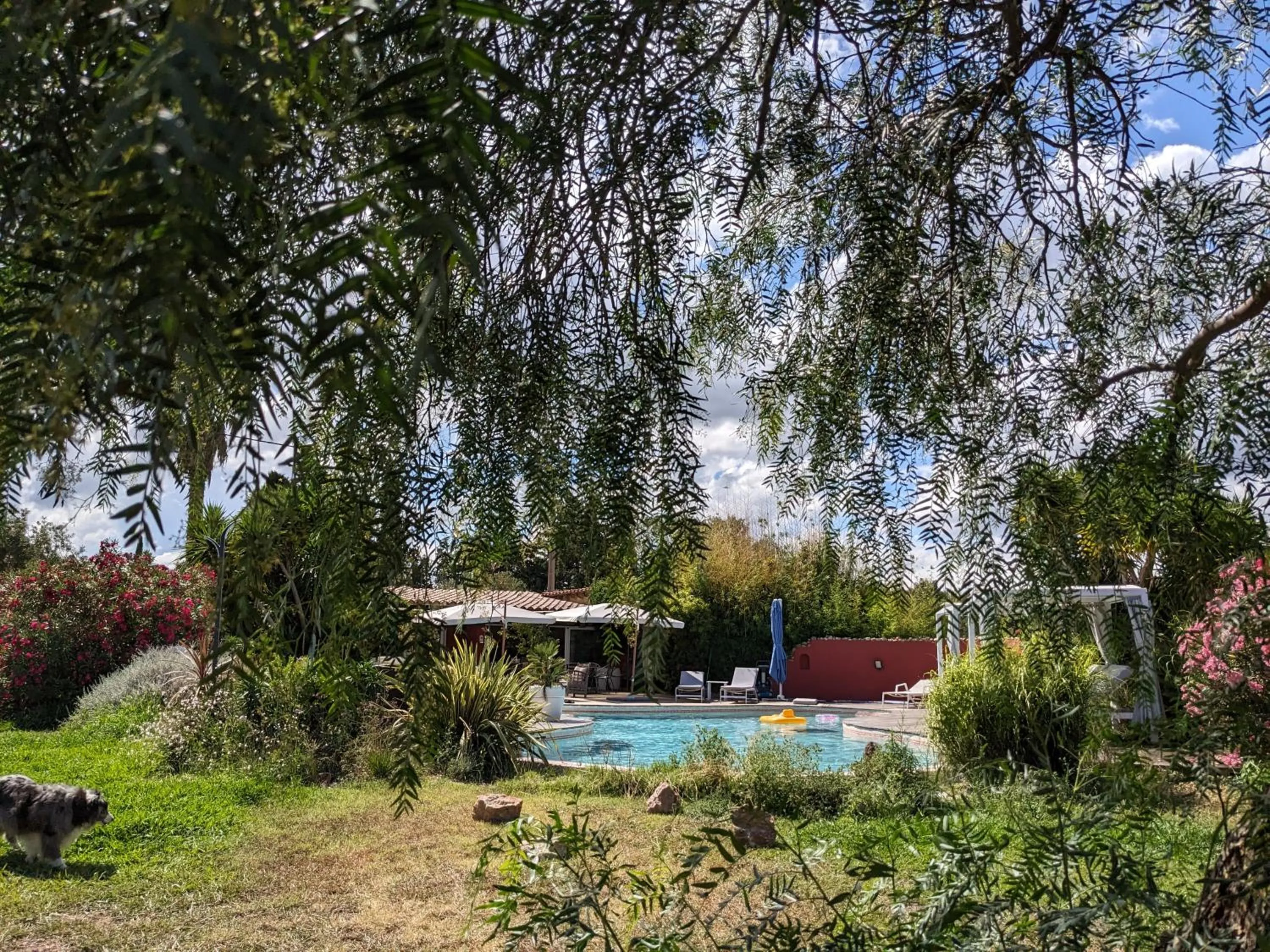 Swimming pool in Le Mas Del Cavalier