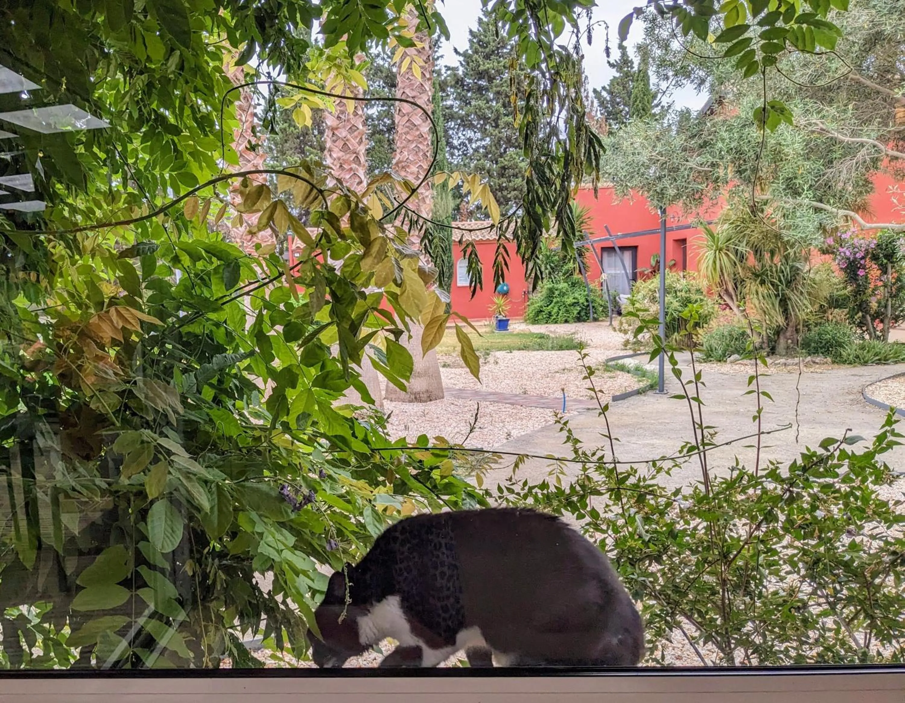 View (from property/room) in Le Mas Del Cavalier